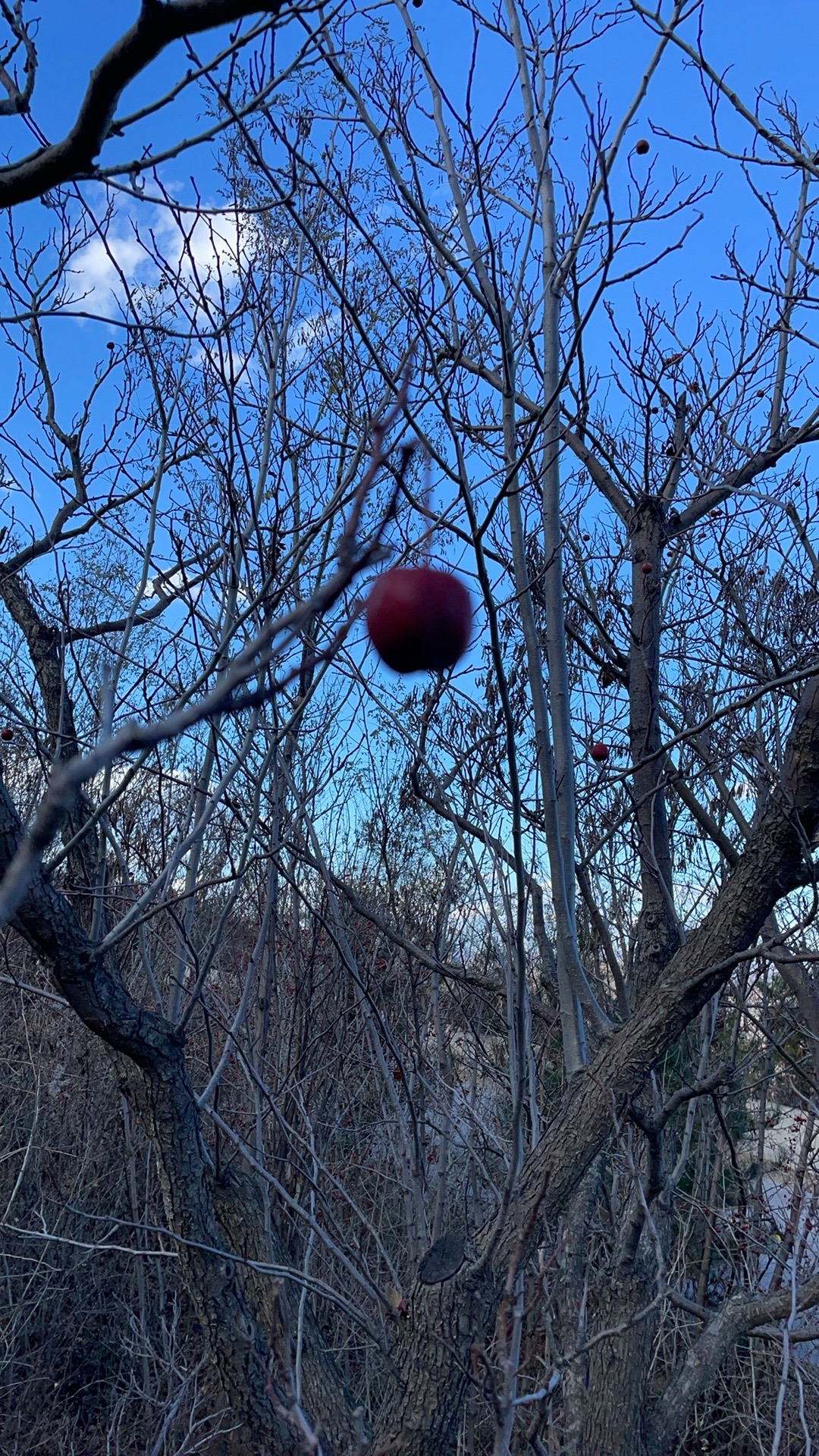 承德龙潭景区天坑冰洞旅行图片 3