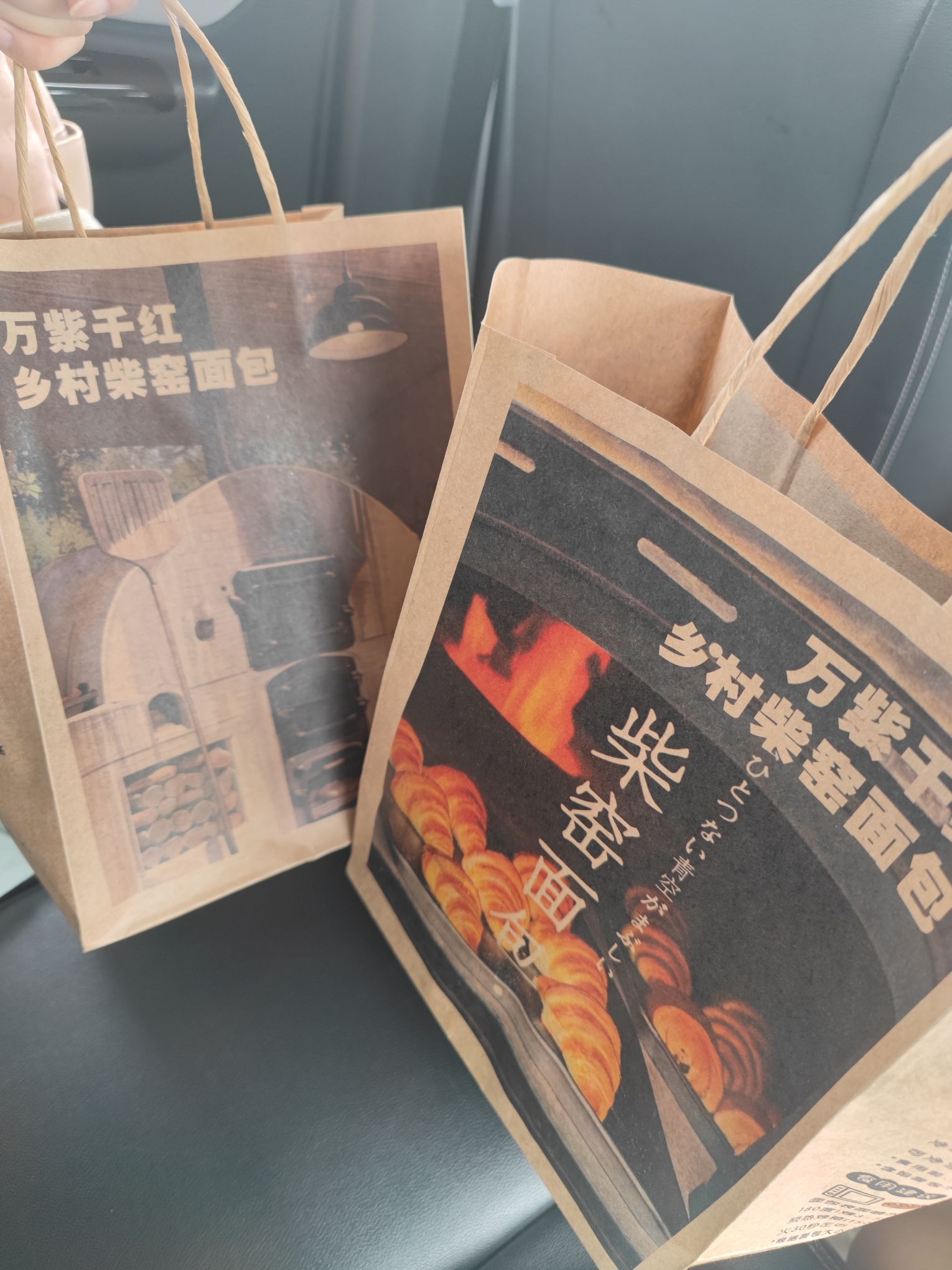 万紫千红飞鸟大世界旅行图片 2