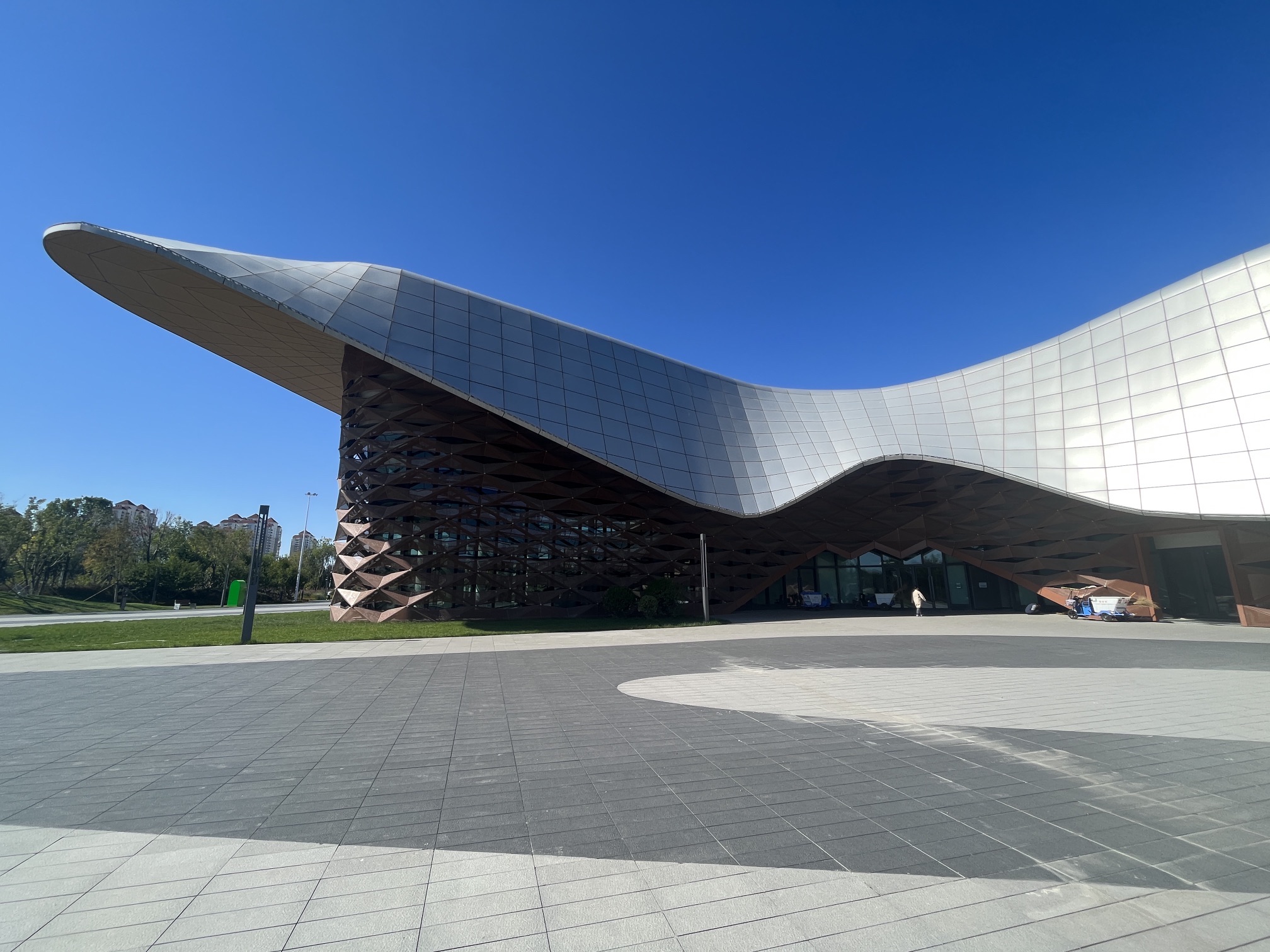 柳林公园旅行图片 3