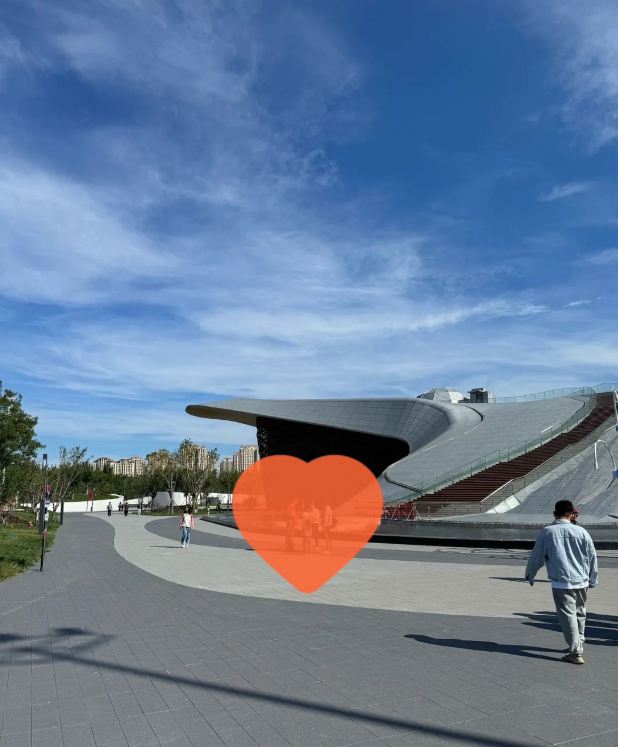 柳林公园旅行图片 1