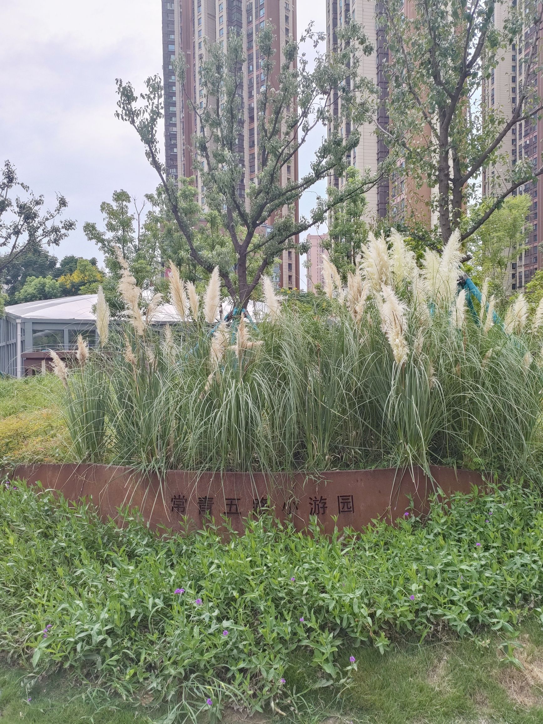 常青五路小游园旅行图片 2