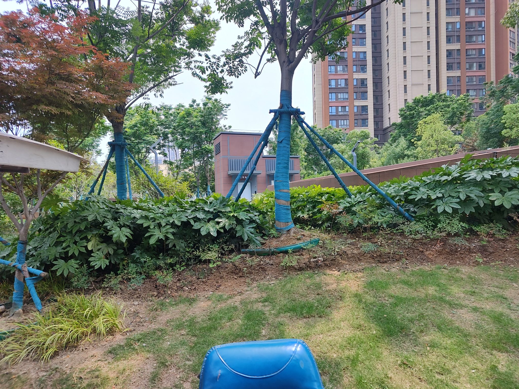 常青五路小游园旅行图片 2