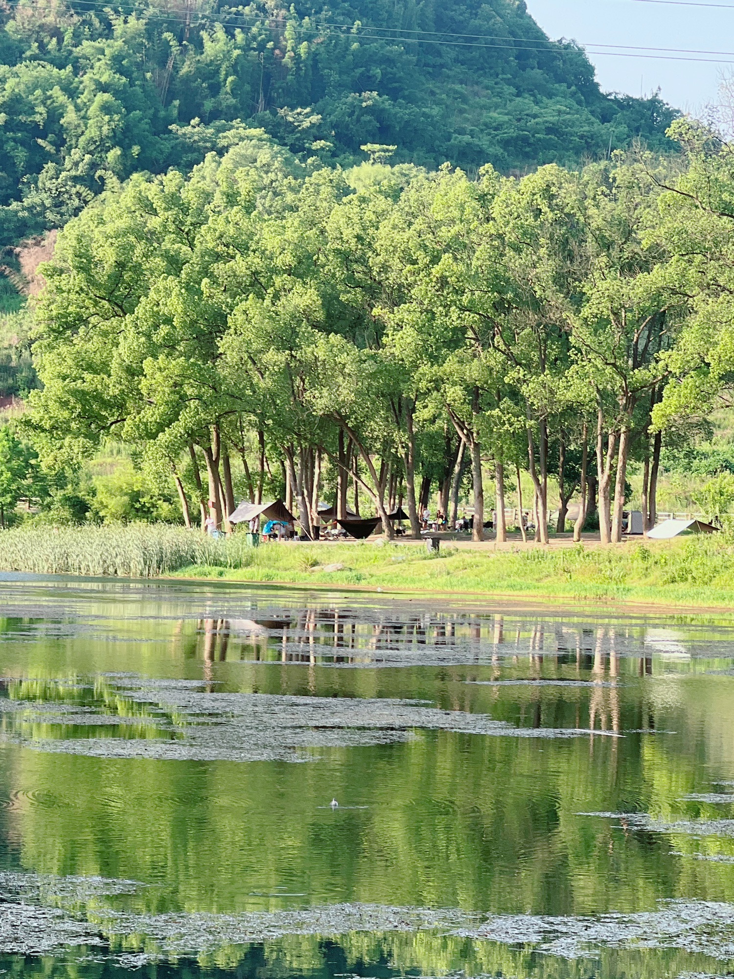 场地封面-柏林村露营点
