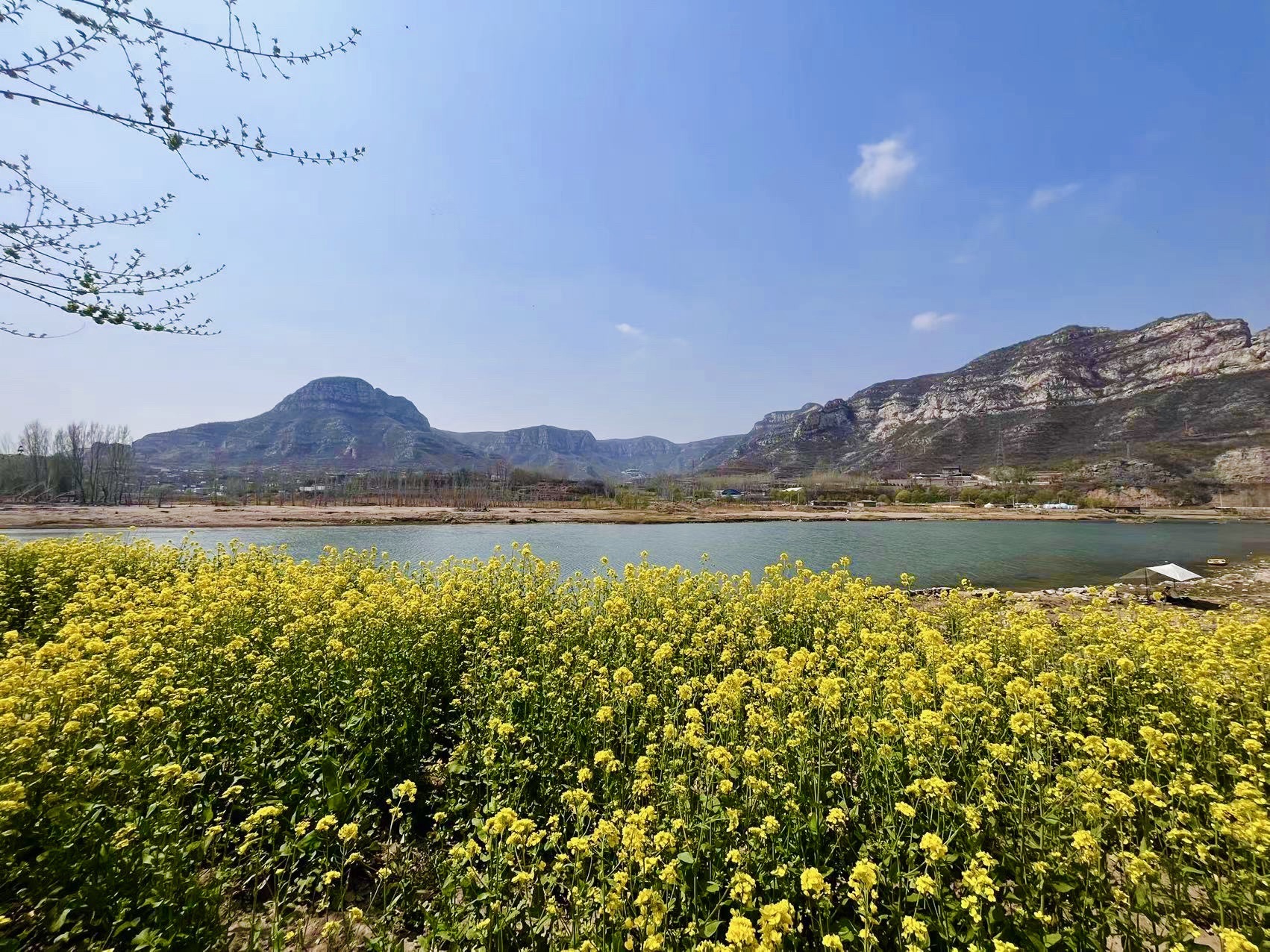 百泉湾湿地公园旅行图片 1