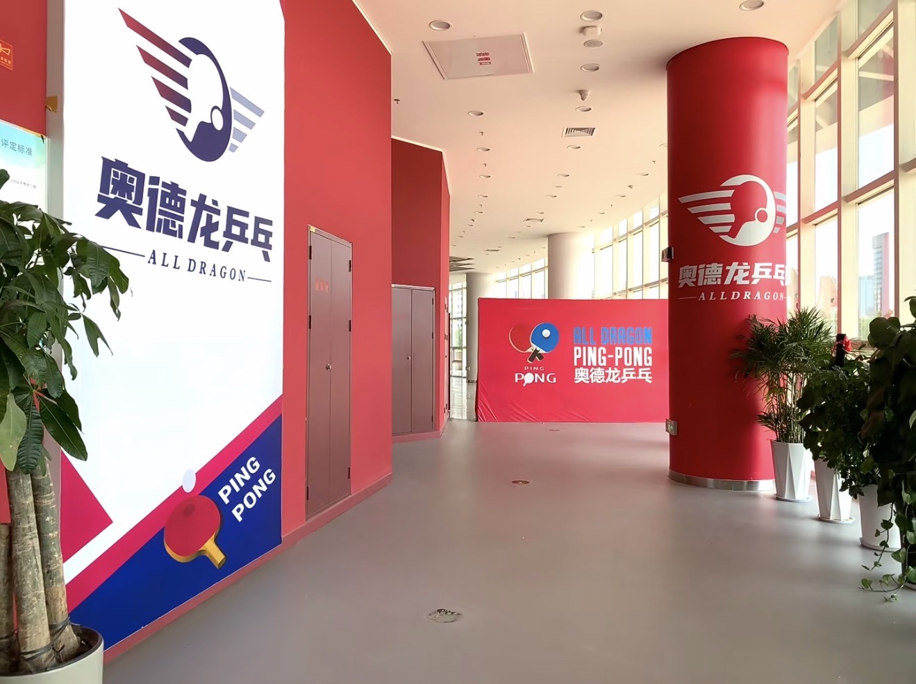 场地封面-奥德龙乒乓球运动中心
