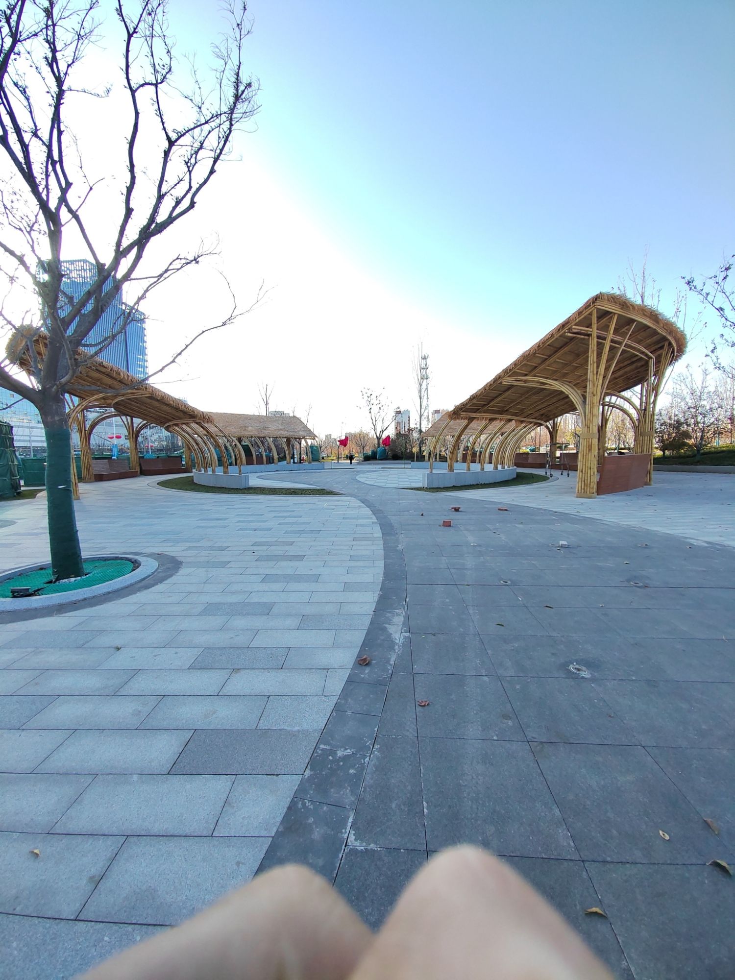 城市公园旅行图片 3
