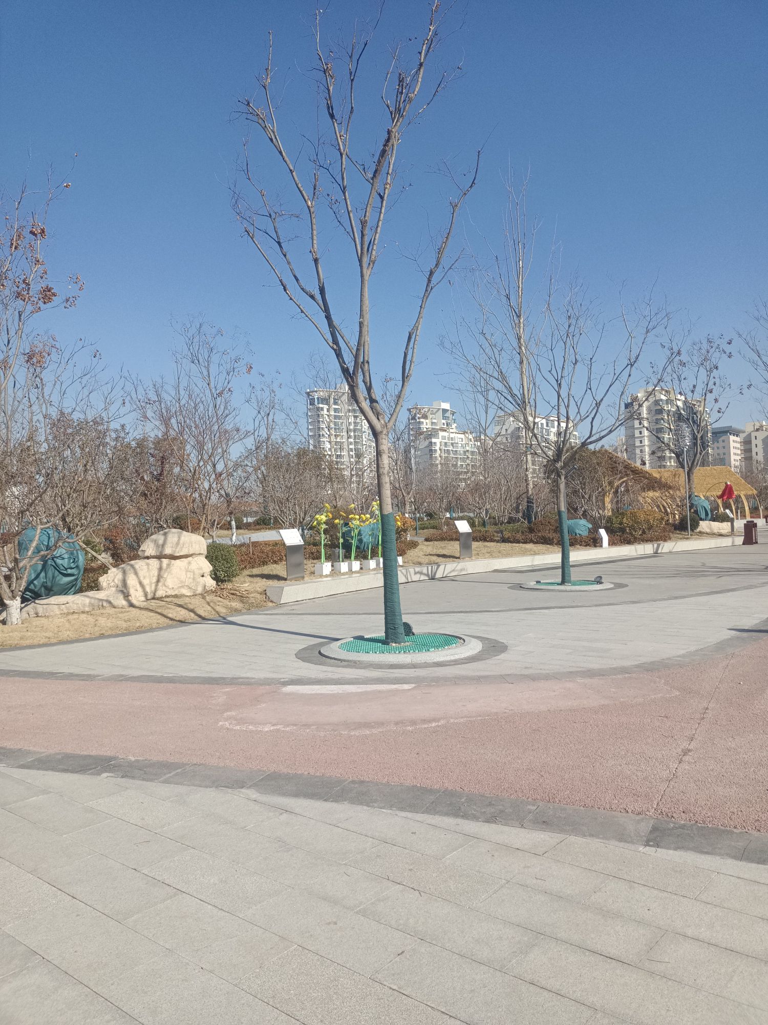 城市公园旅行图片 1