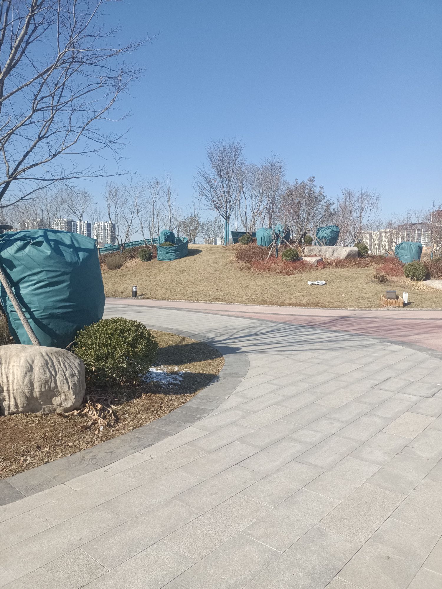 城市公园旅行图片 2