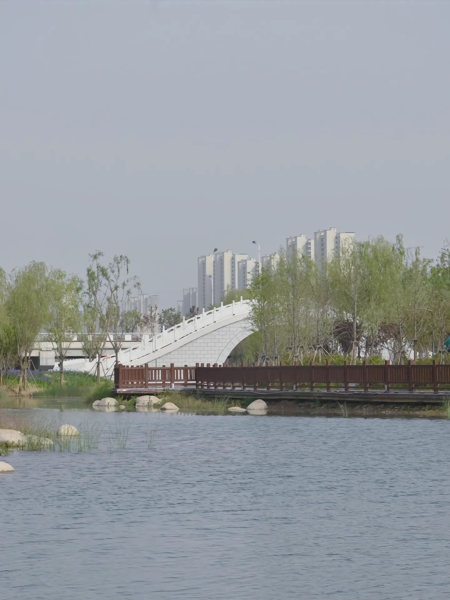 临泉文泉公园旅行图片 2