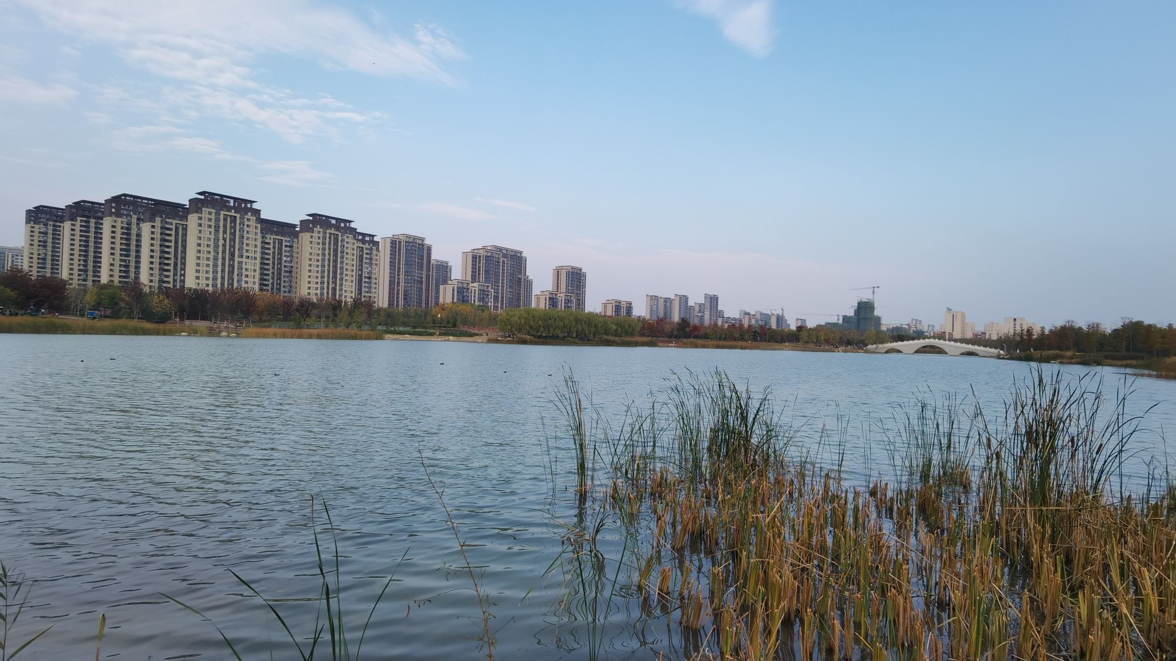 临泉文泉公园旅行图片 3