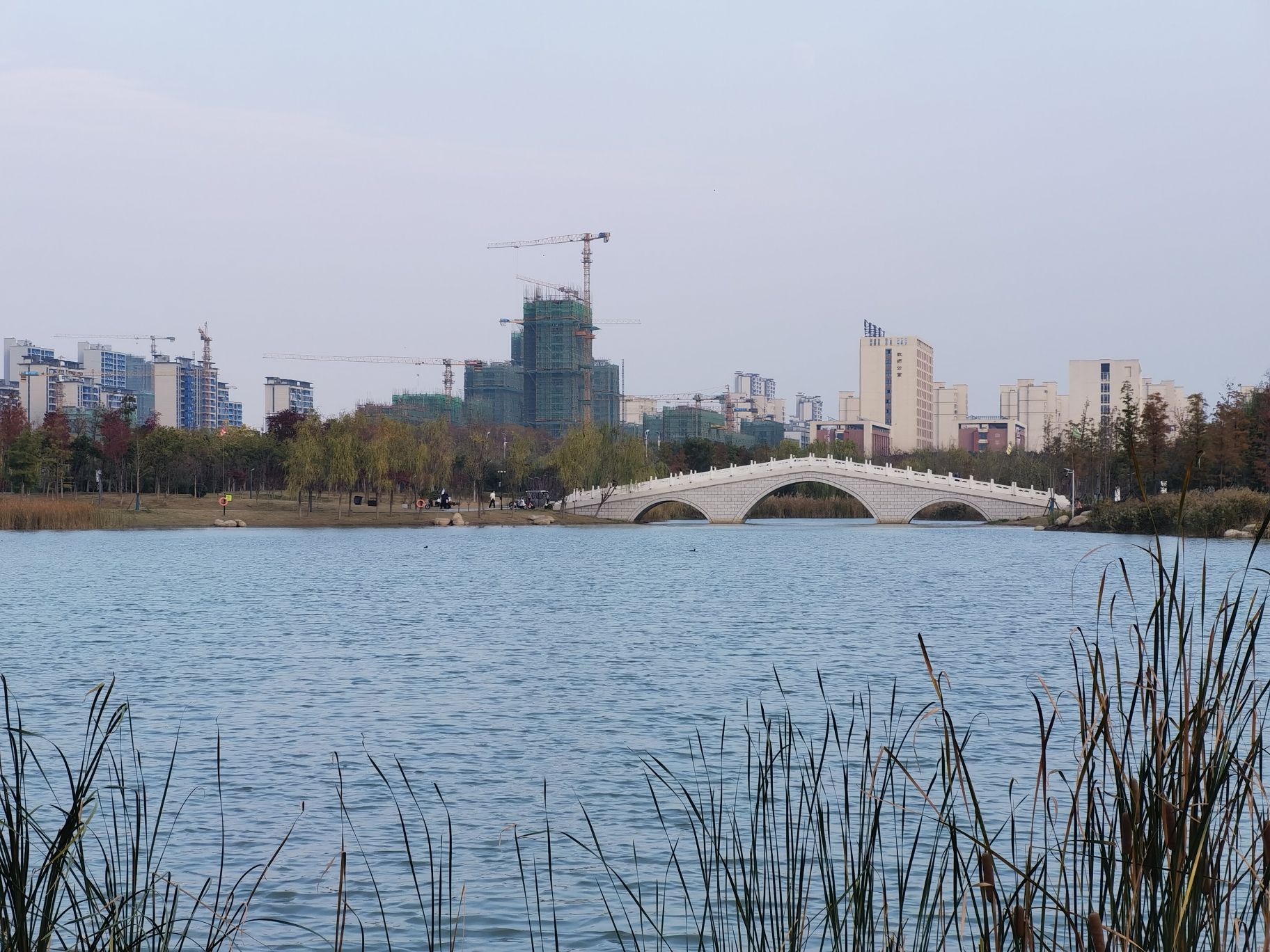 临泉文泉公园旅行图片 2