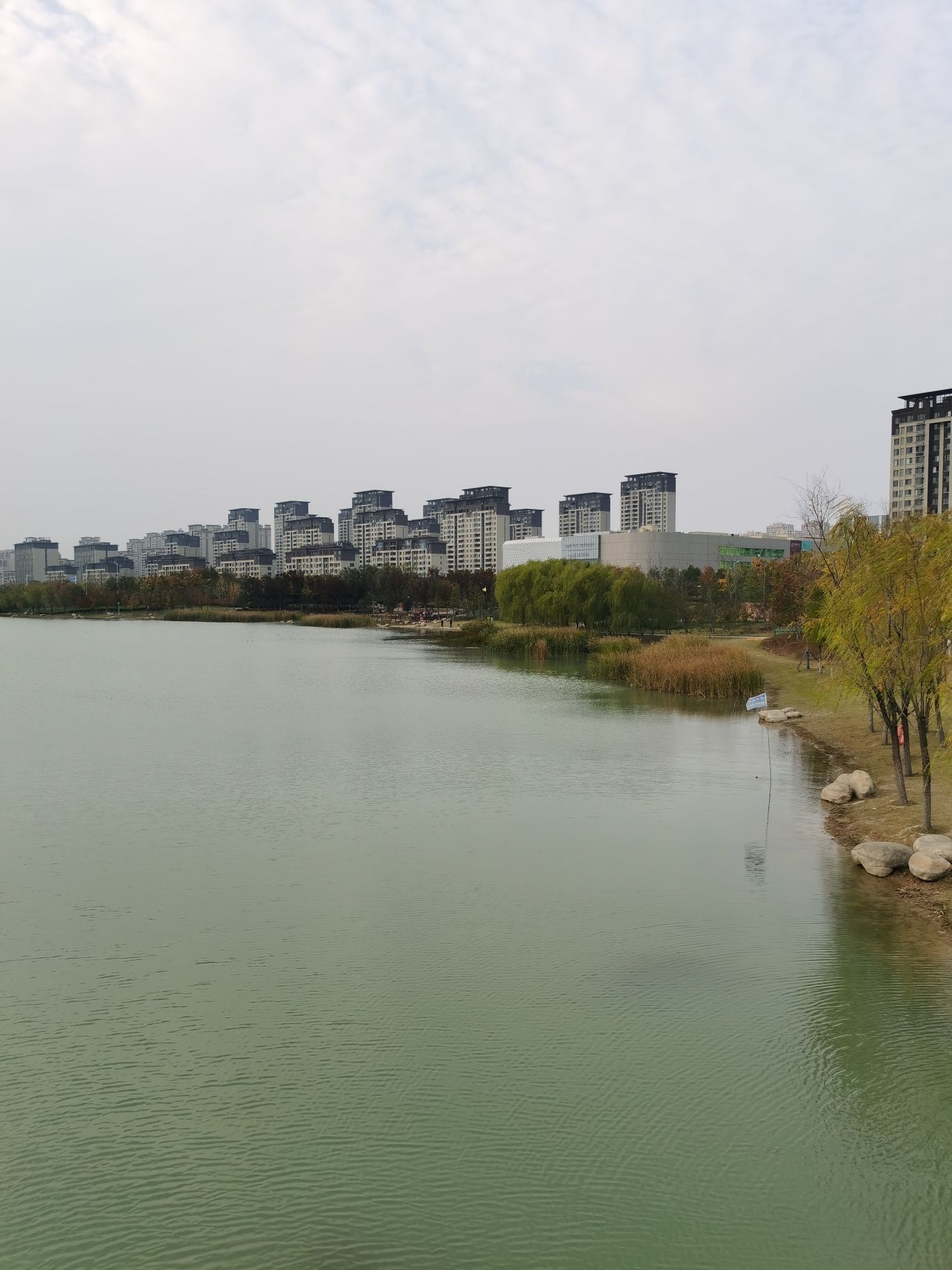 临泉文泉公园旅行图片 1