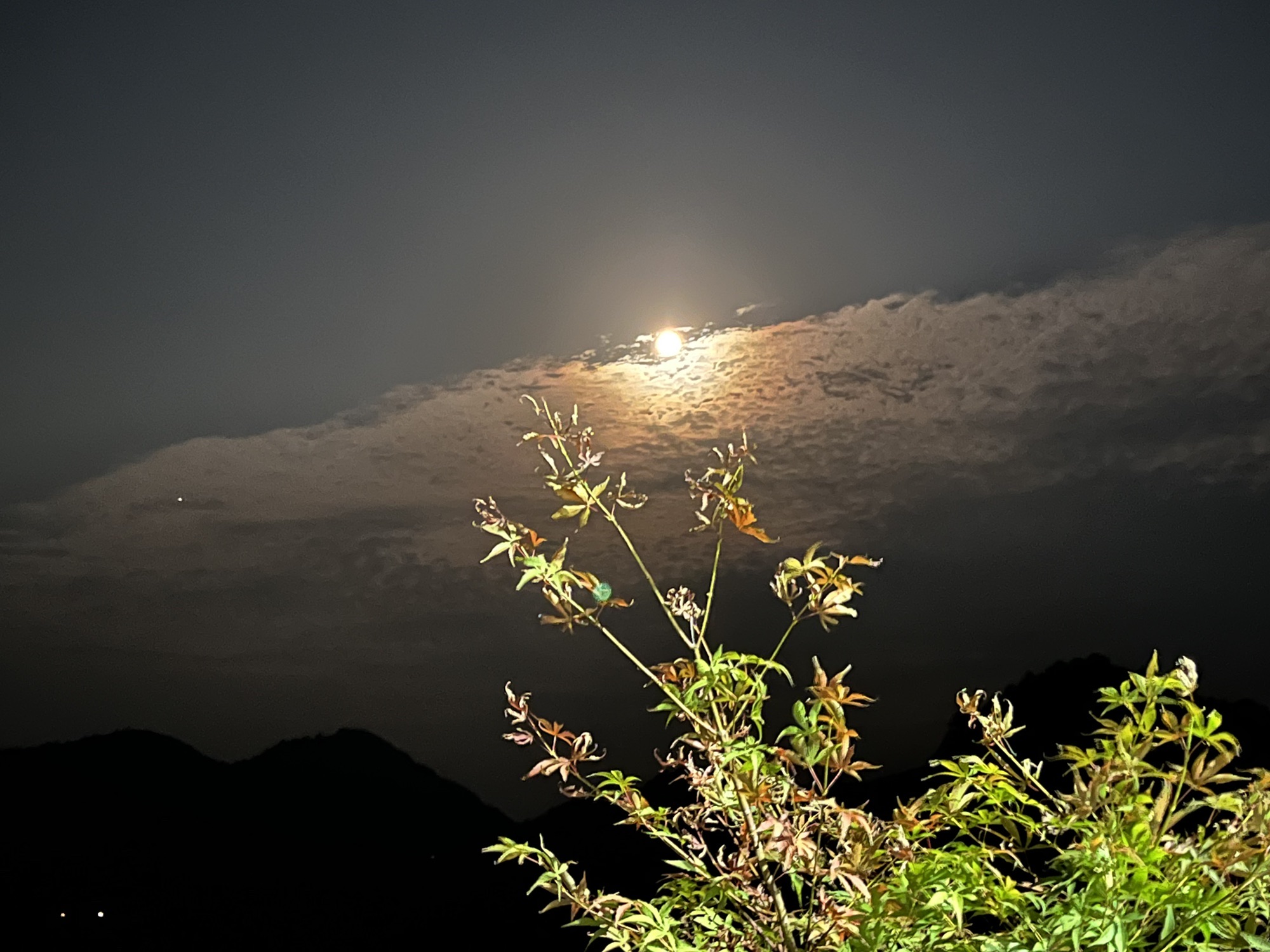酉阳车田露营基地的第3张图片的图片资料