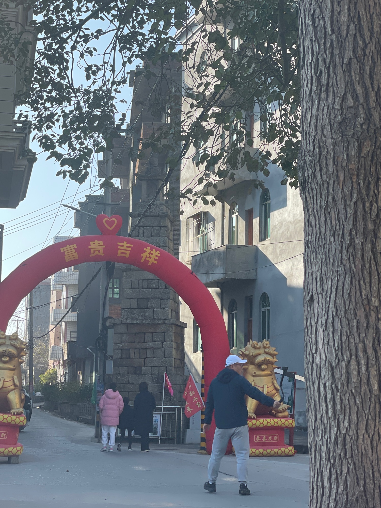 鹤上湖尾宋塔旅行图片 1
