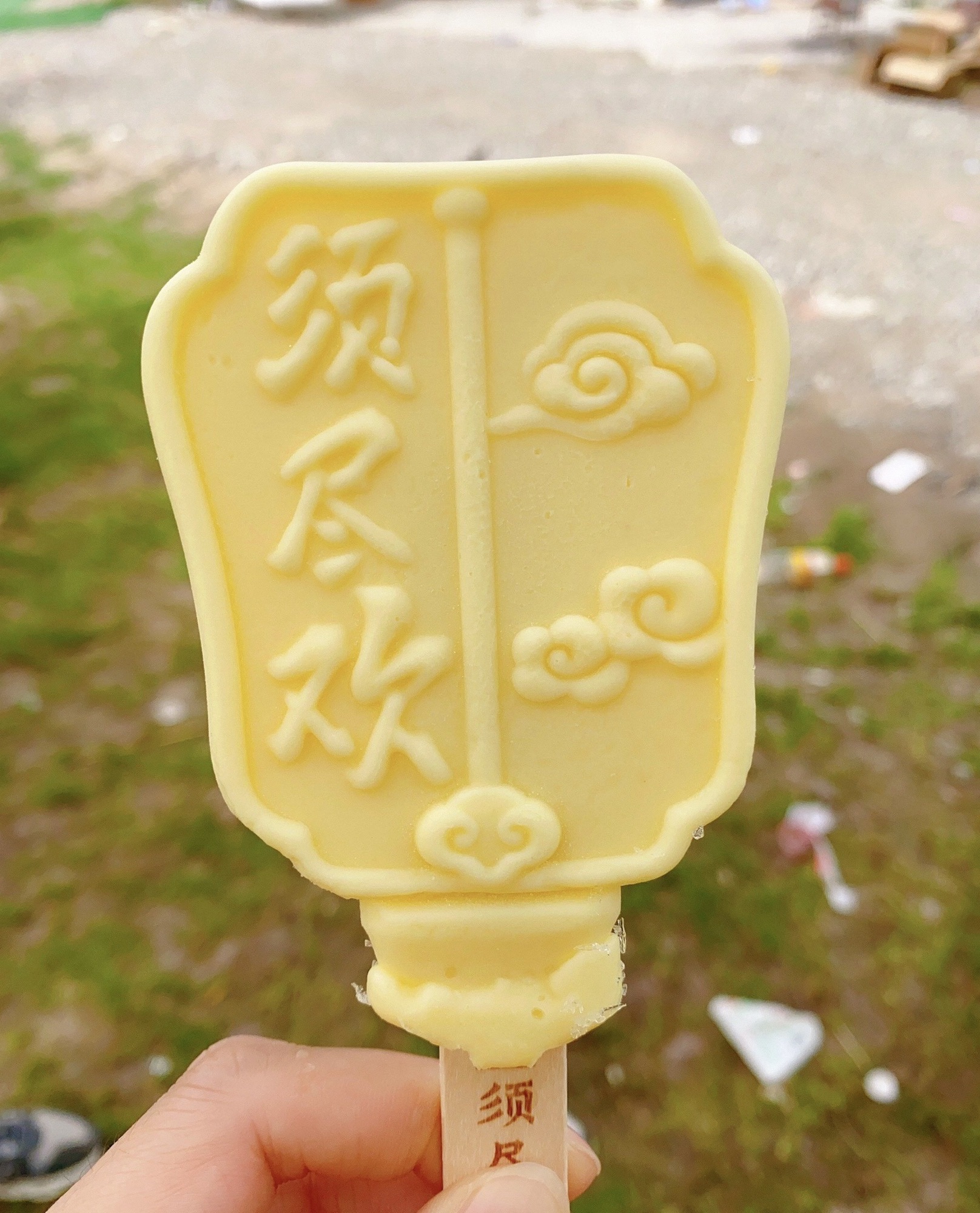 台州路森林公园旅行图片 3