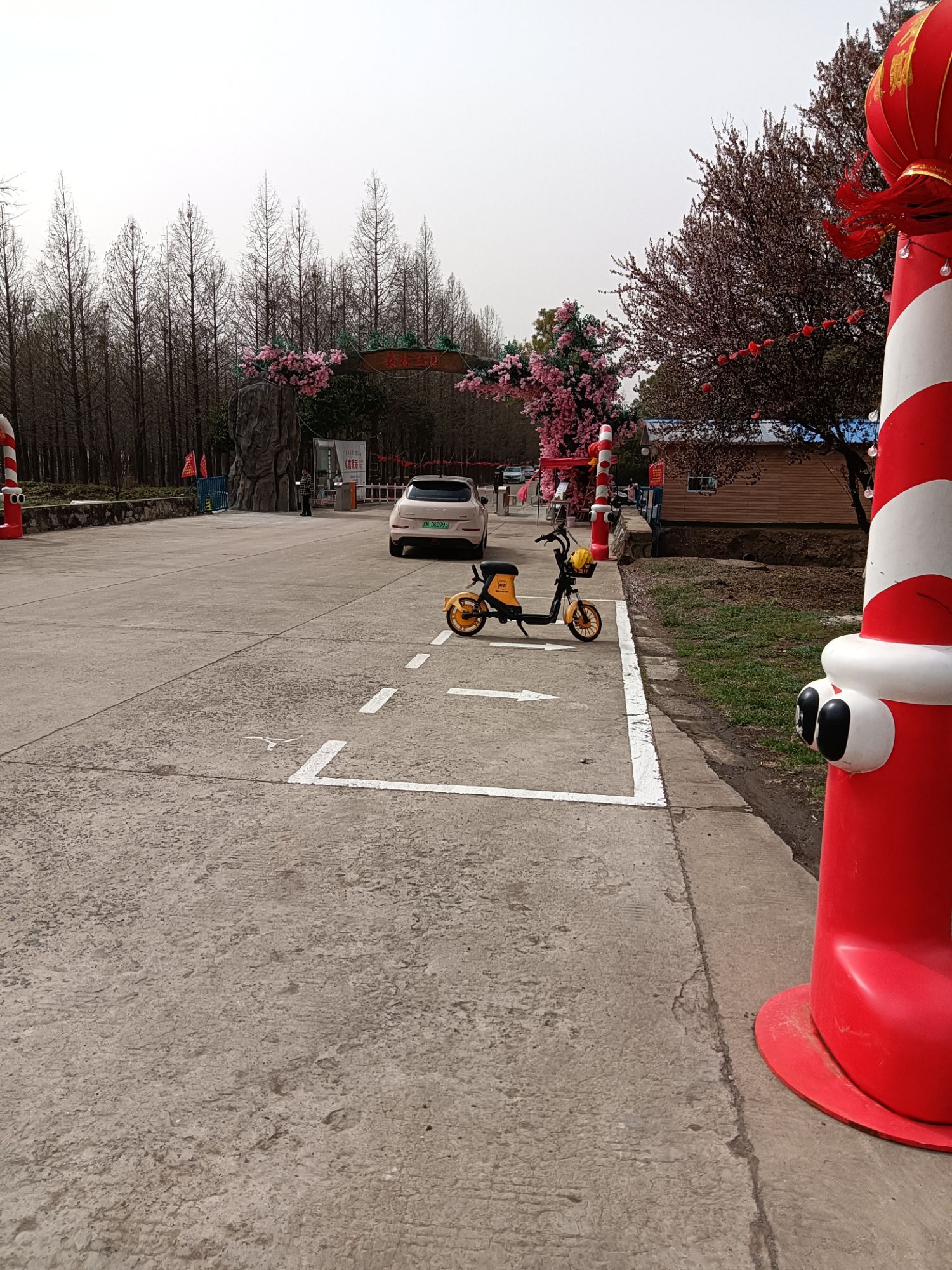 台州路森林公园旅行图片 2