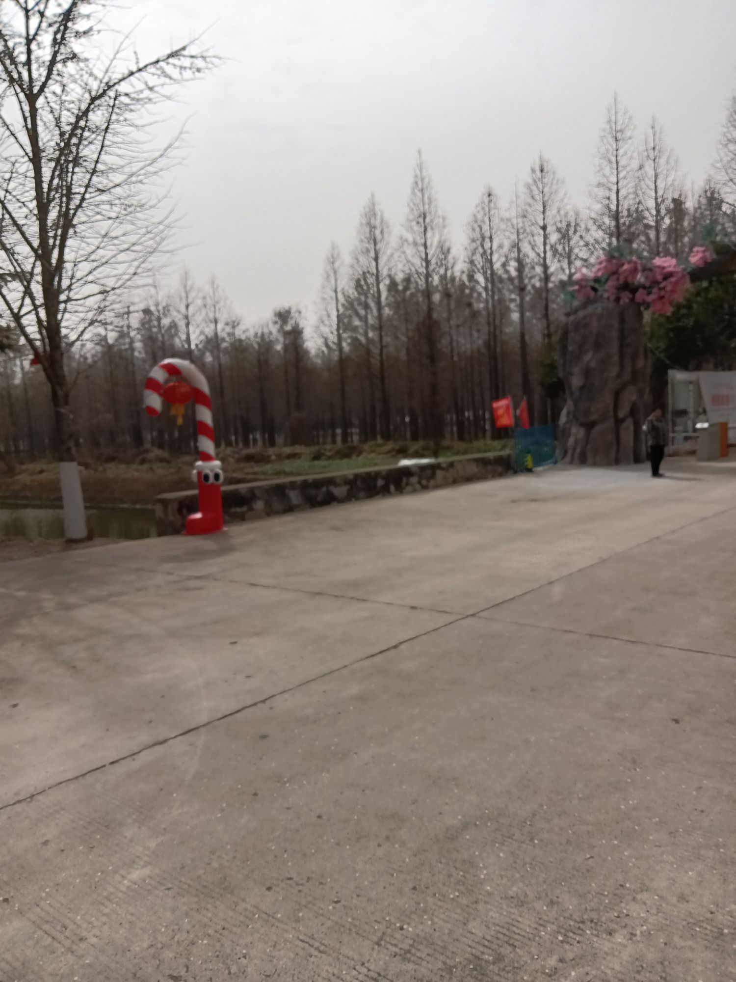 台州路森林公园旅行图片 3