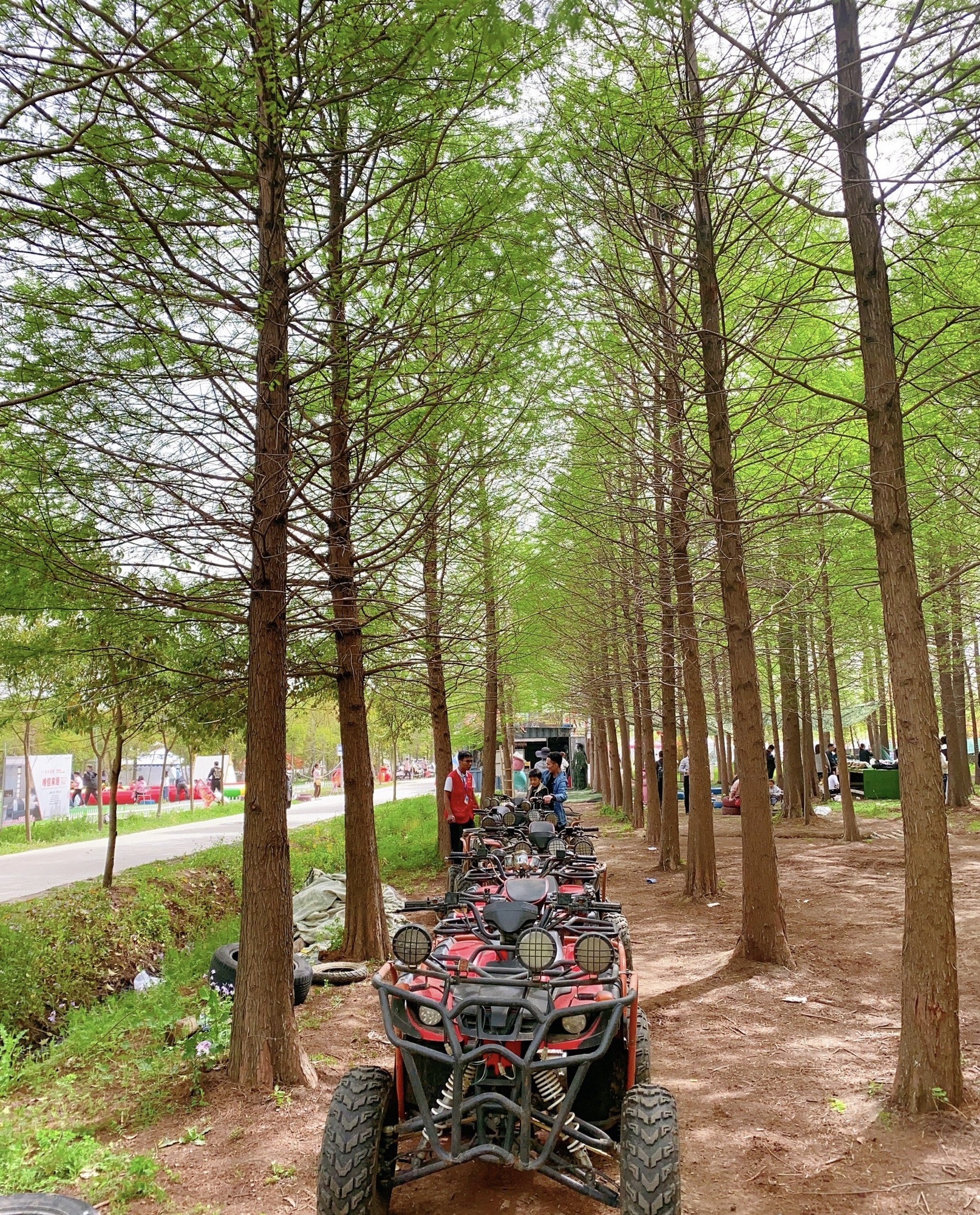 台州路森林公园旅行图片 2