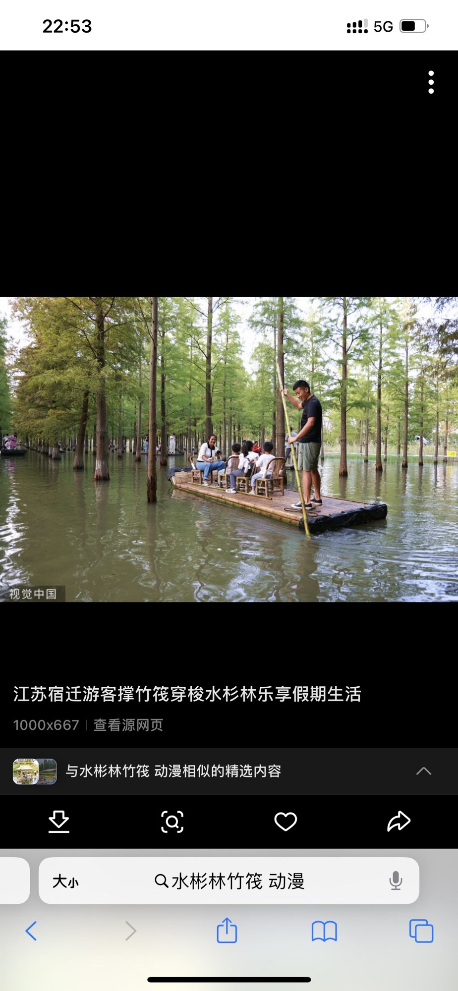 台州路森林公园旅行图片 2