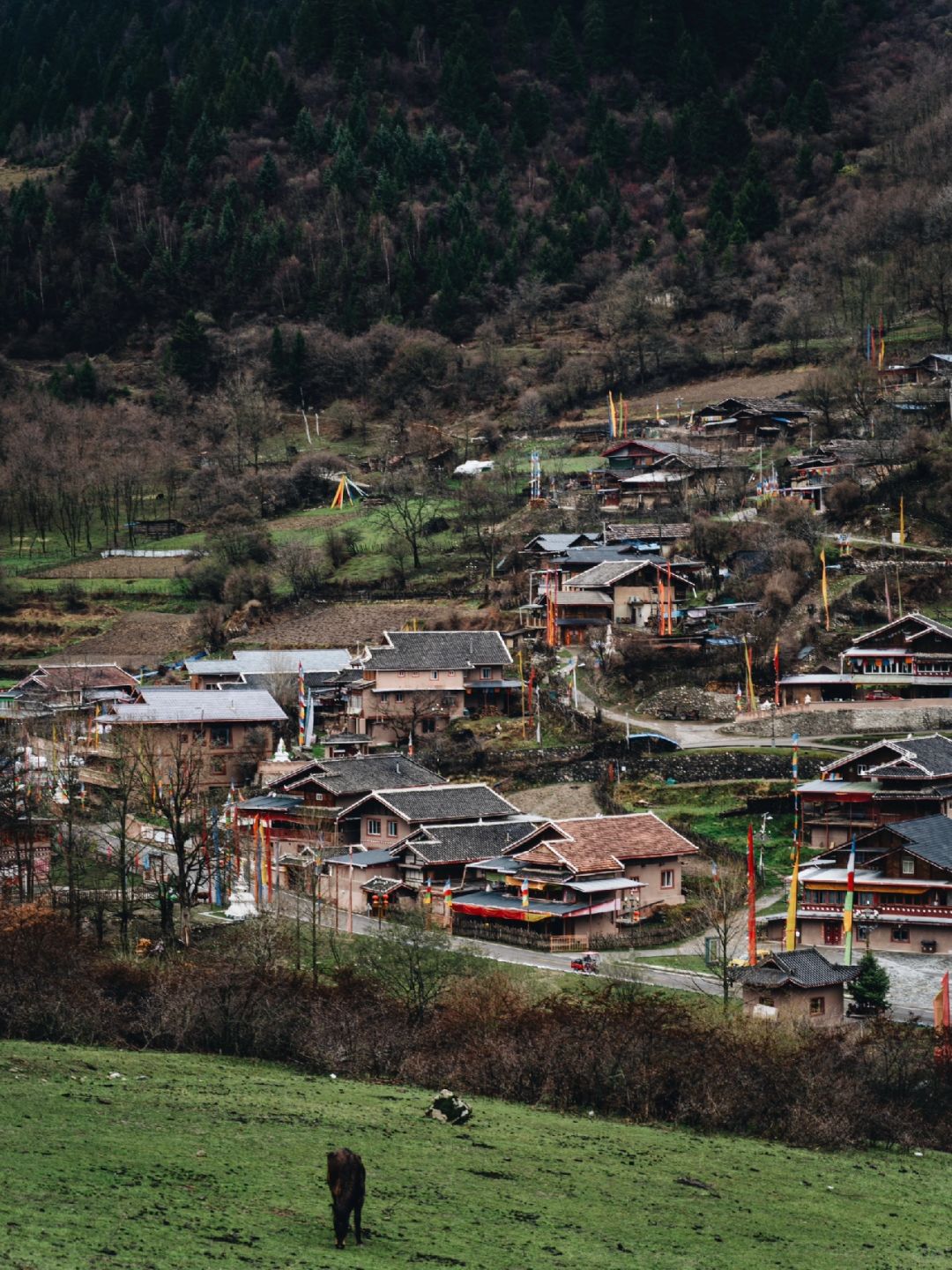 中查村马帮广场旅行图片 1