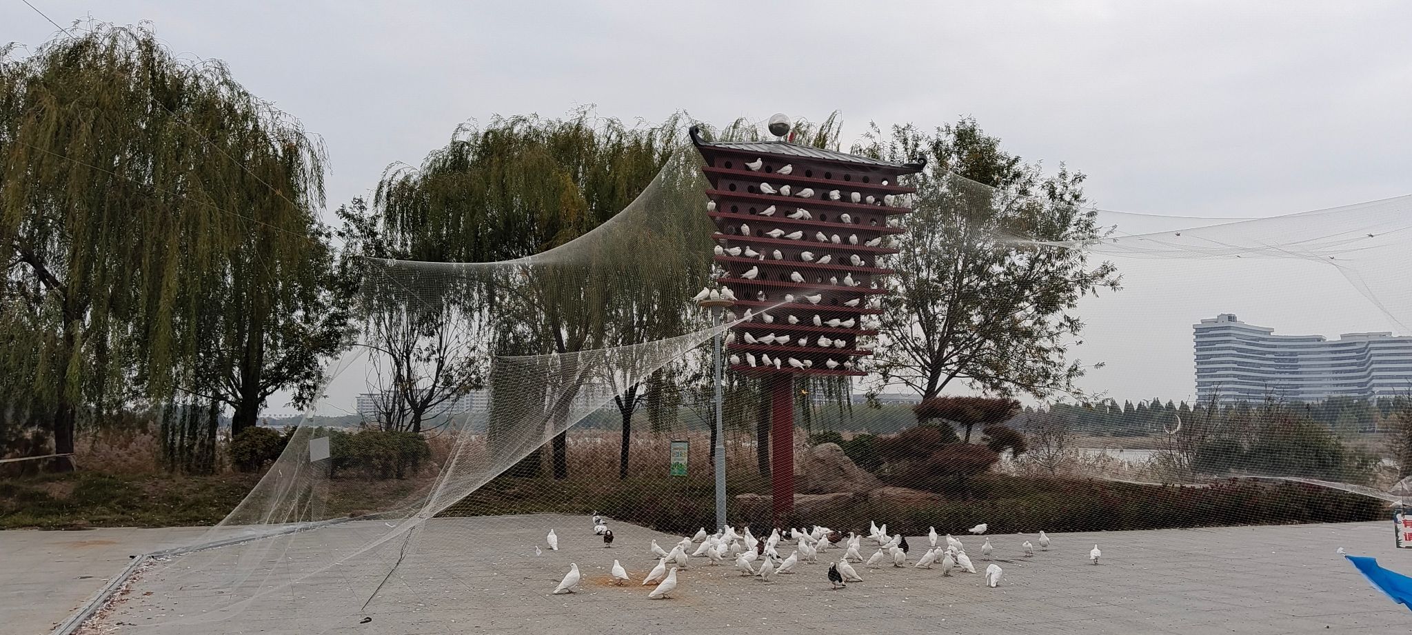 菏泽动植物园旅行图片 1