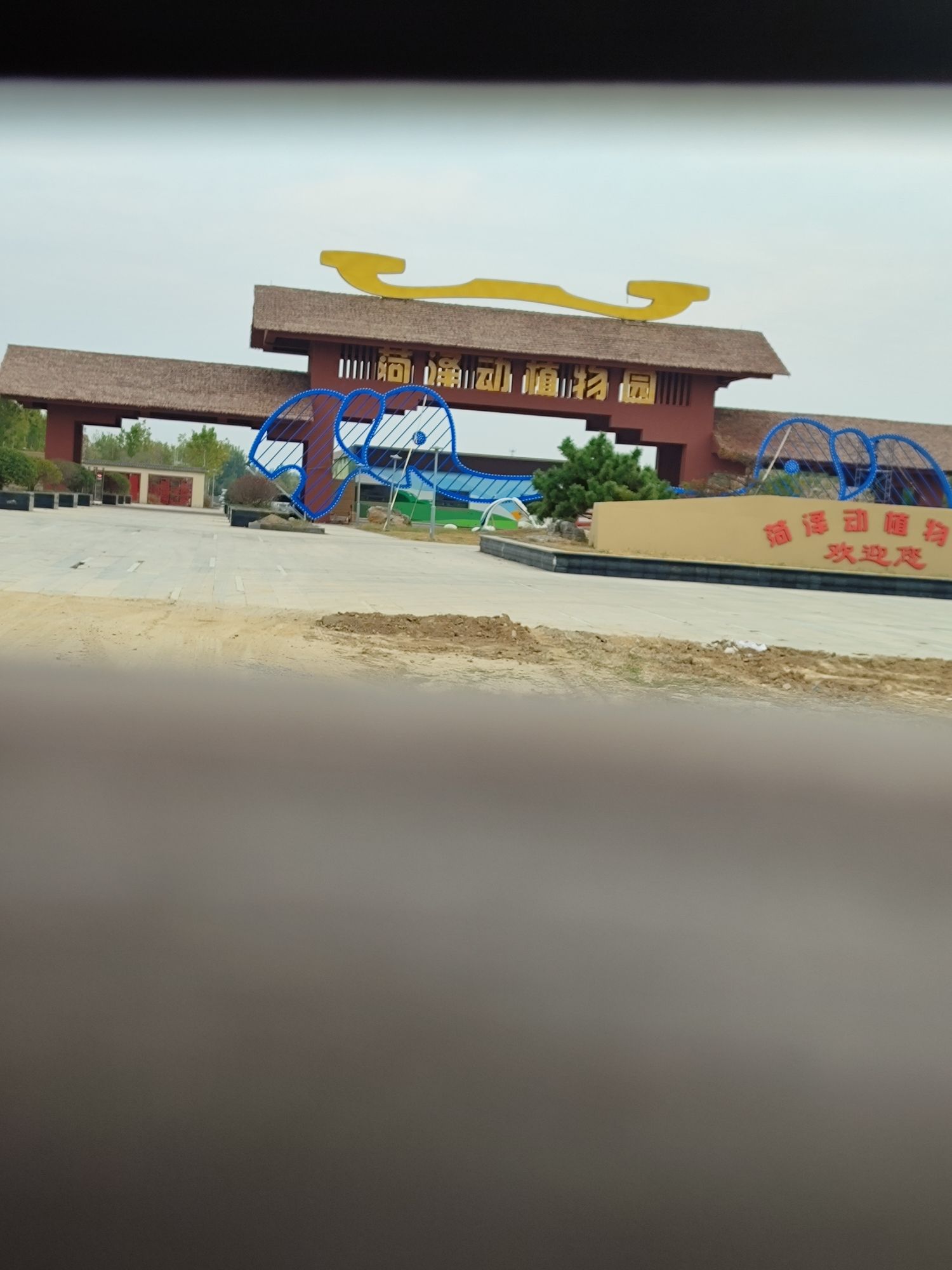 菏泽动植物园旅行图片 1