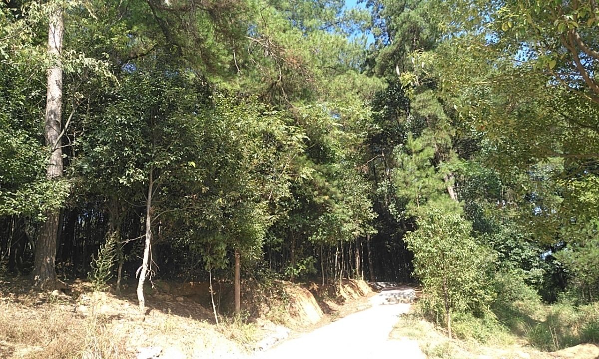盘龙山公园旅行图片 2