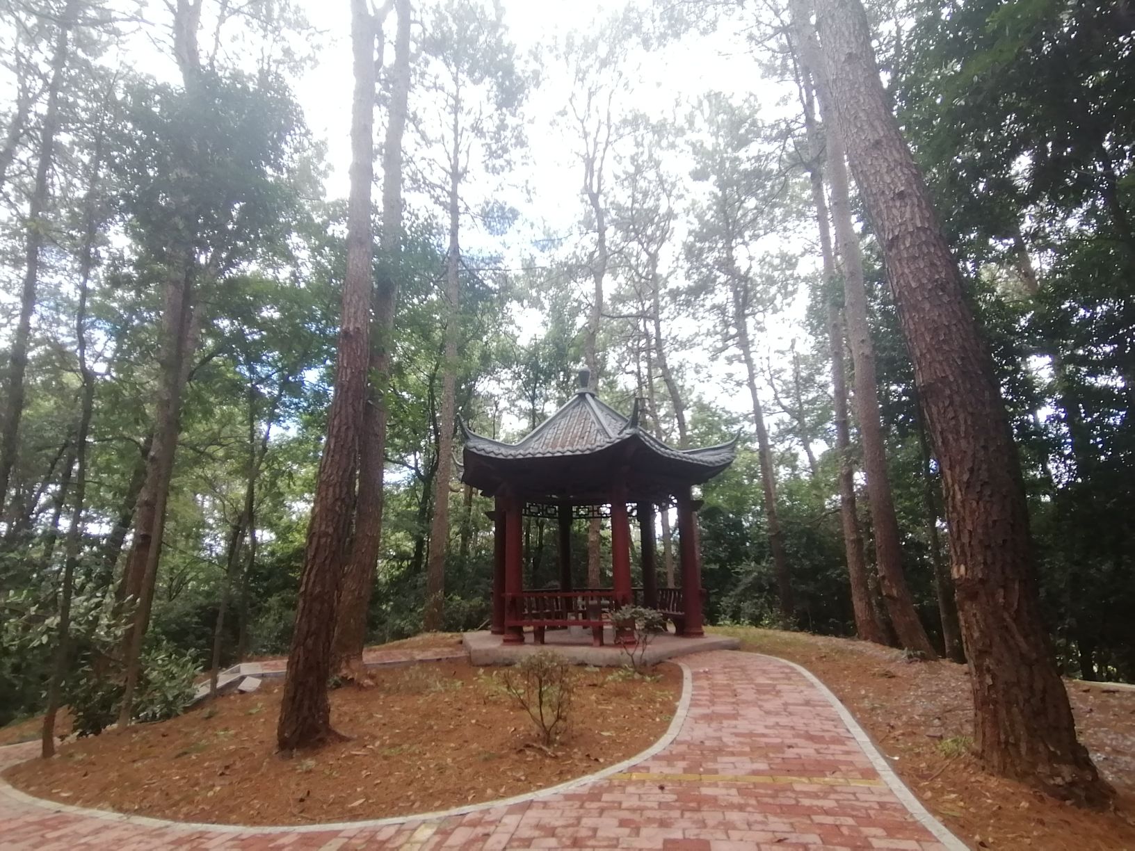 盘龙山公园旅行图片 2