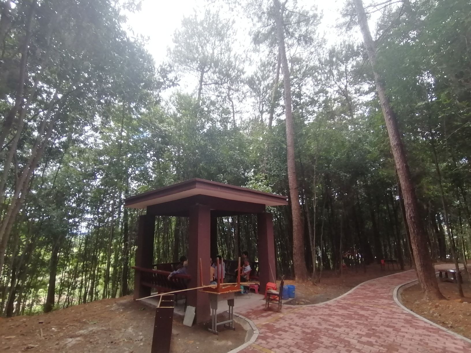 盘龙山公园旅行图片 3