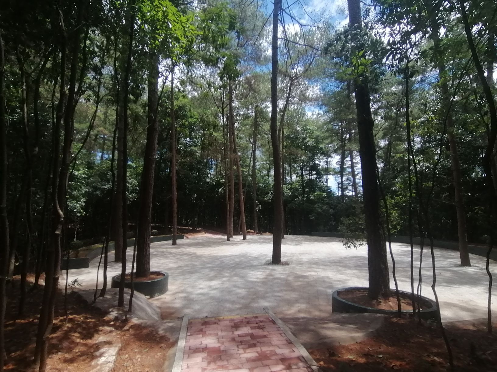 盘龙山公园旅行图片 1