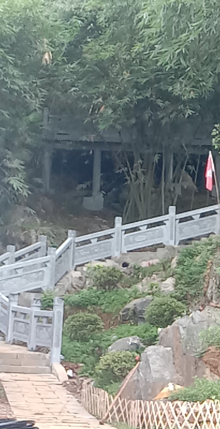 陈树湘养伤地旅行图片 1