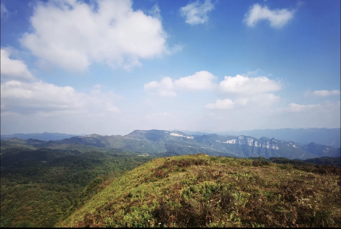 南滩草场旅行图片 3