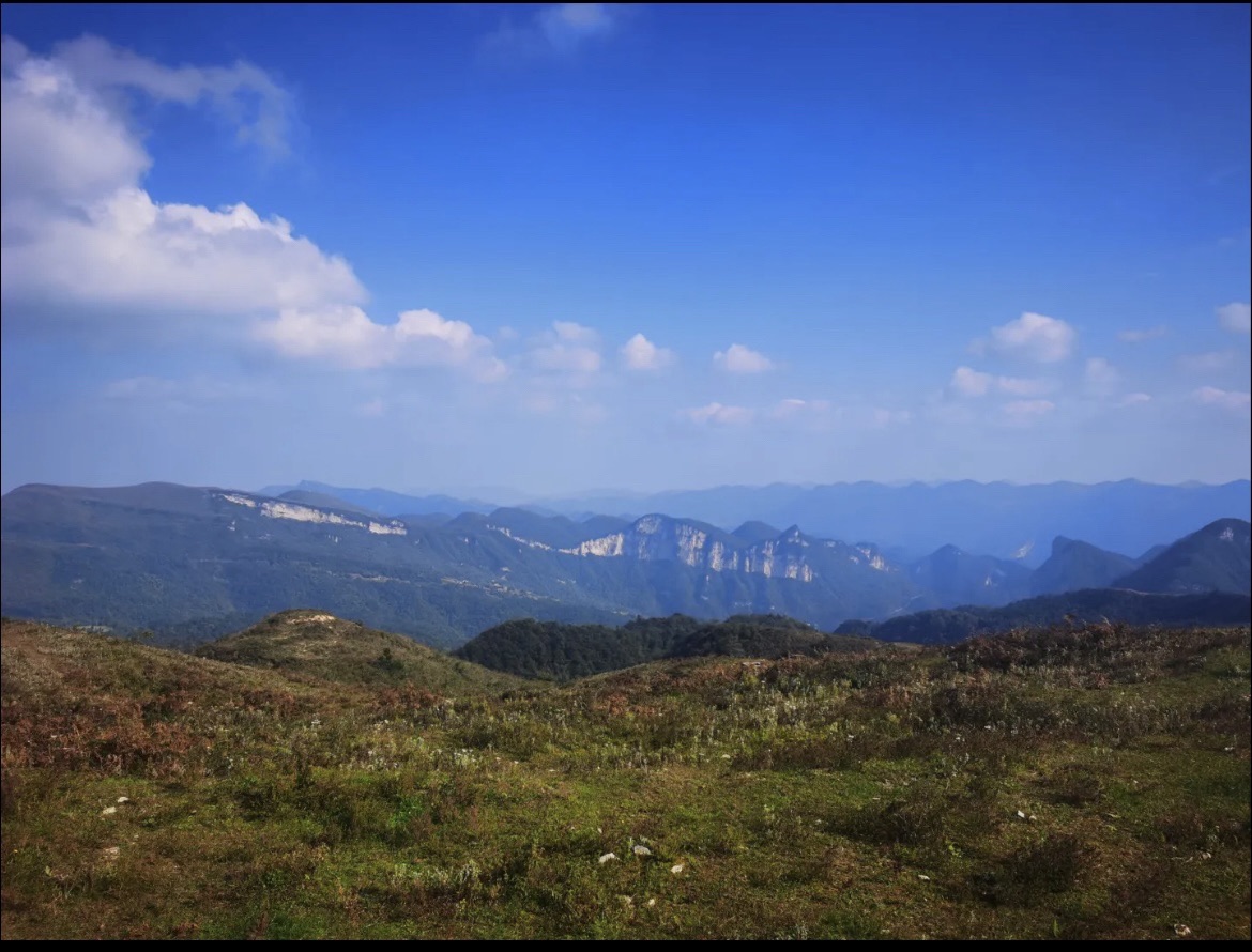 南滩草场旅行图片 1