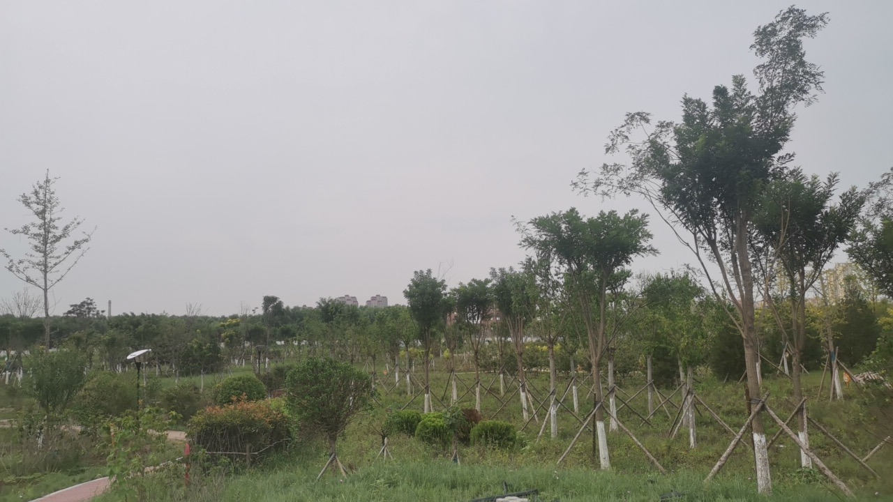 钰松公园旅行图片 2