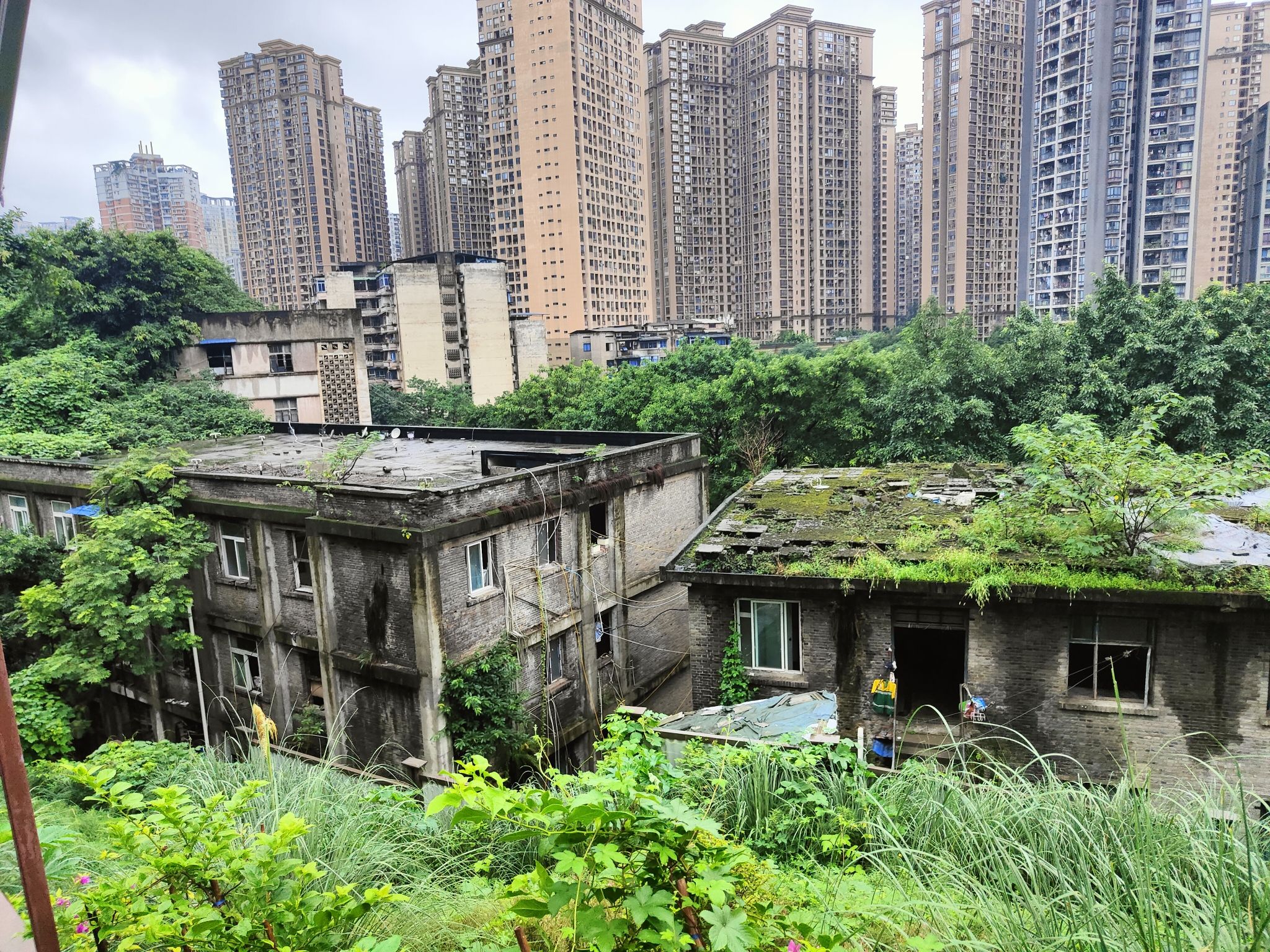 洞舰1号旅行图片 3