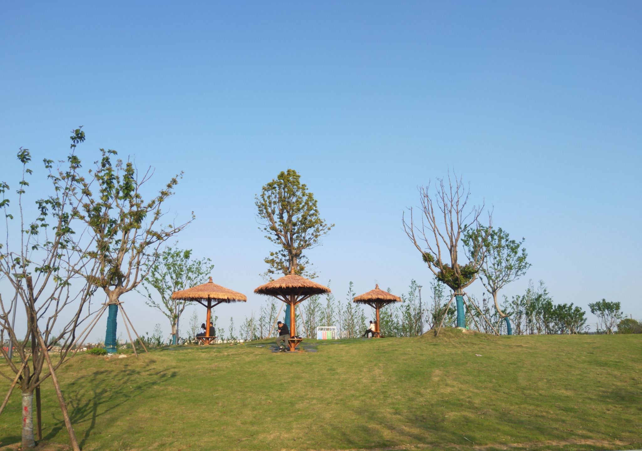 赣江市民公园五期旅行图片 3