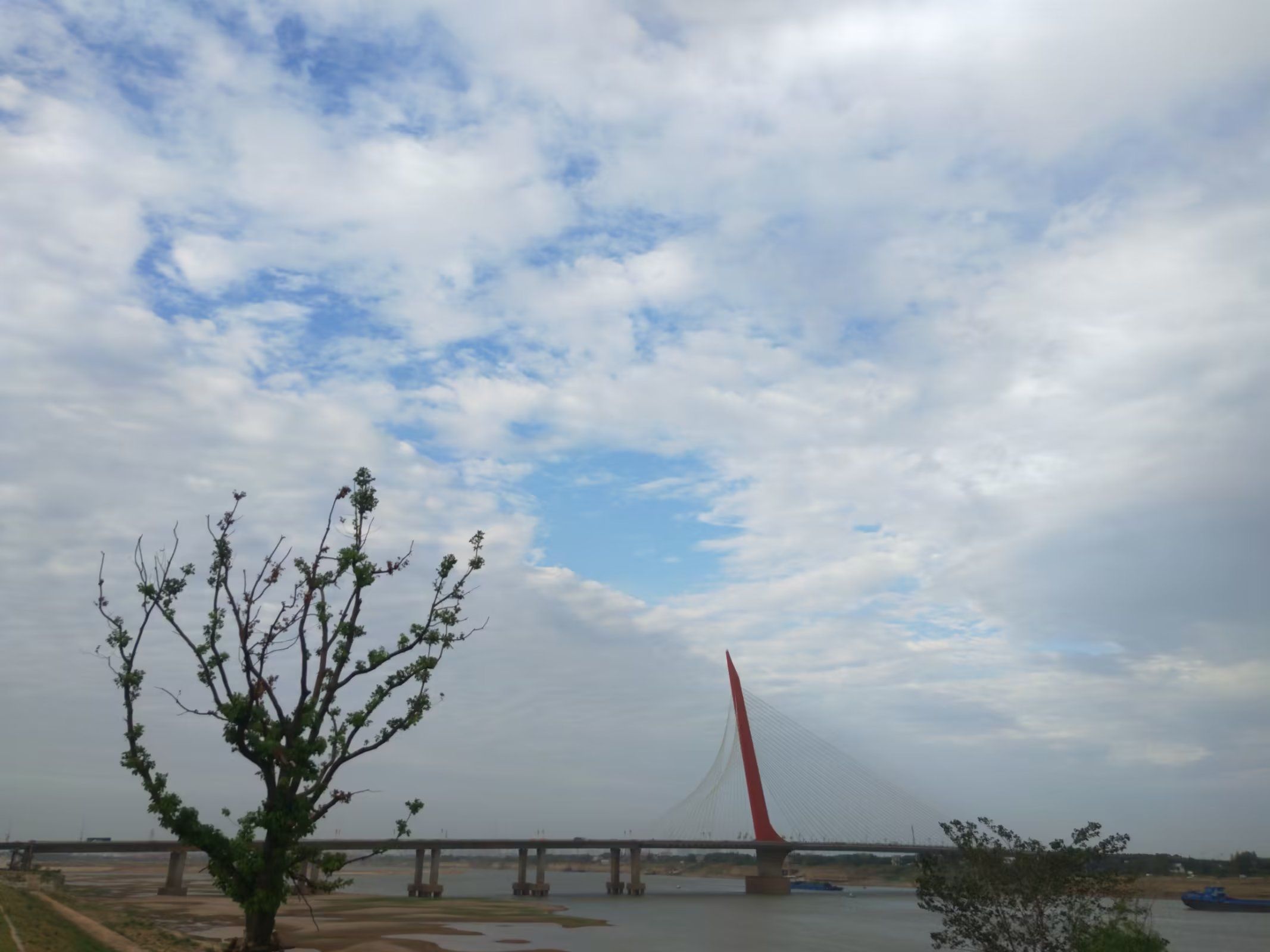 赣江市民公园五期旅行图片 2