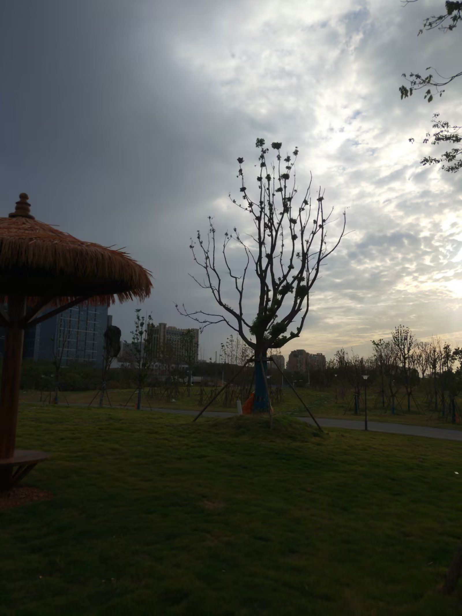 赣江市民公园五期旅行图片 3