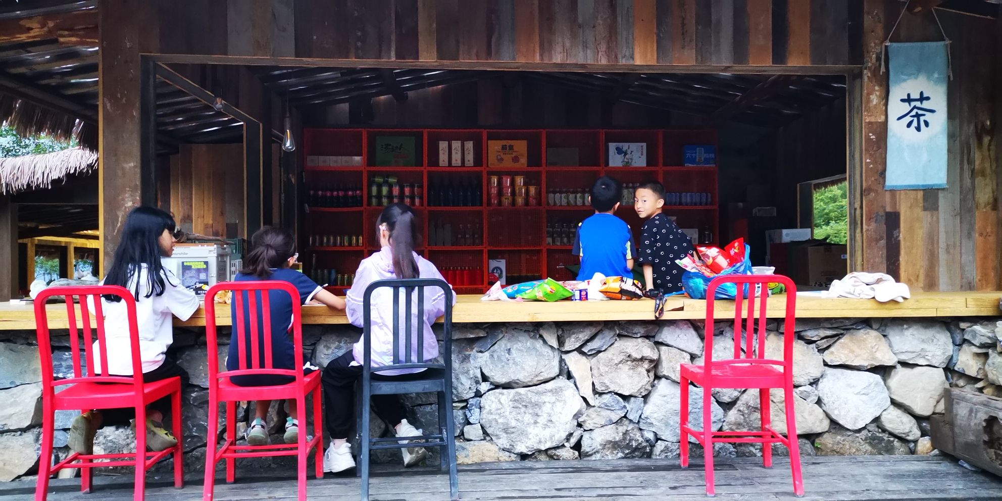 云雾森林旅行图片 1