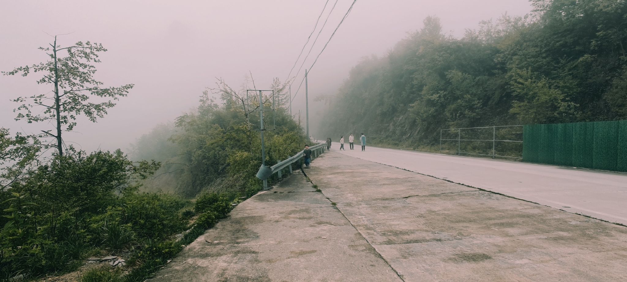 云雾森林旅行图片 2