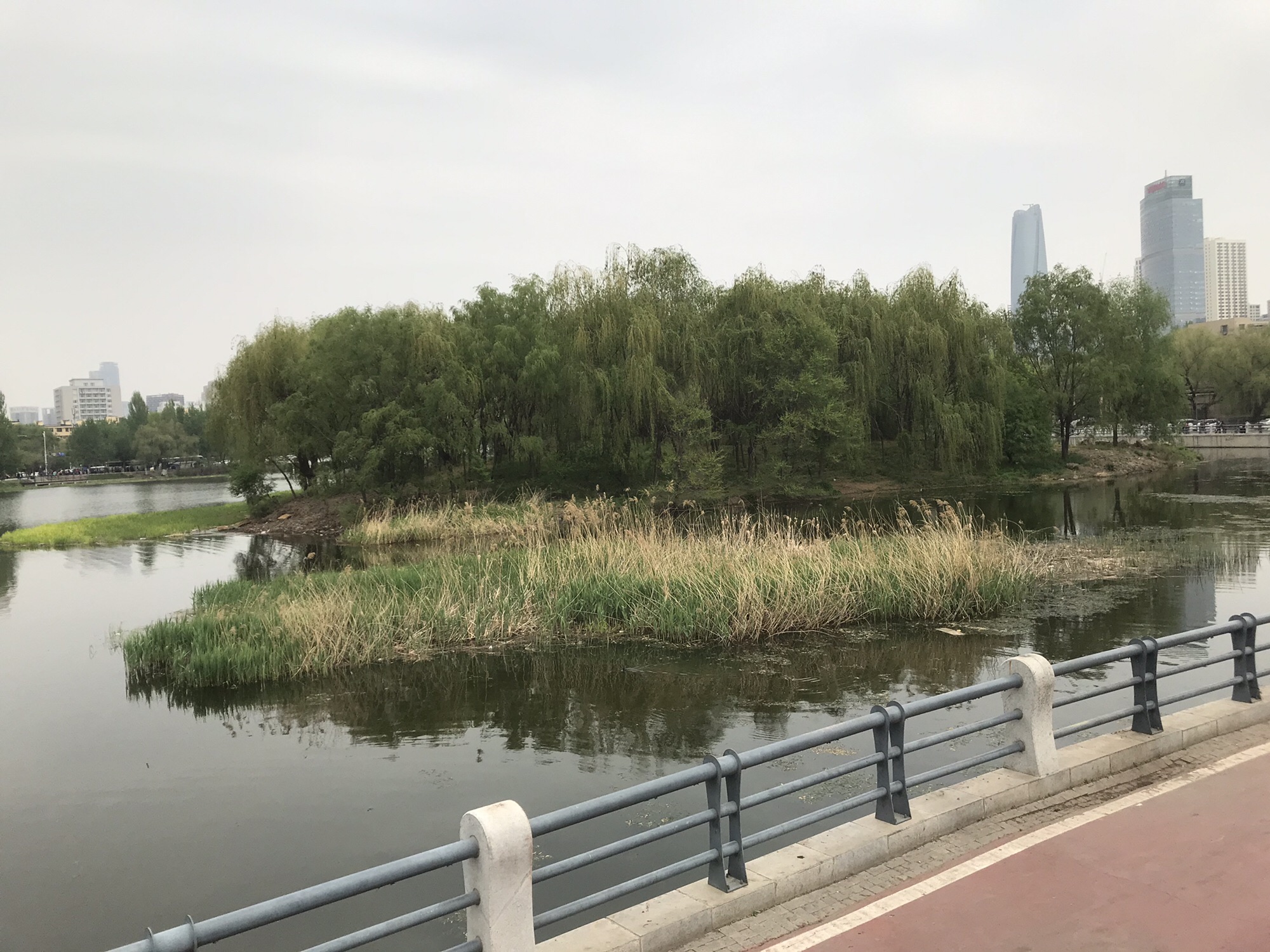 沈阳青少年宫绿地口袋公园旅行图片 3