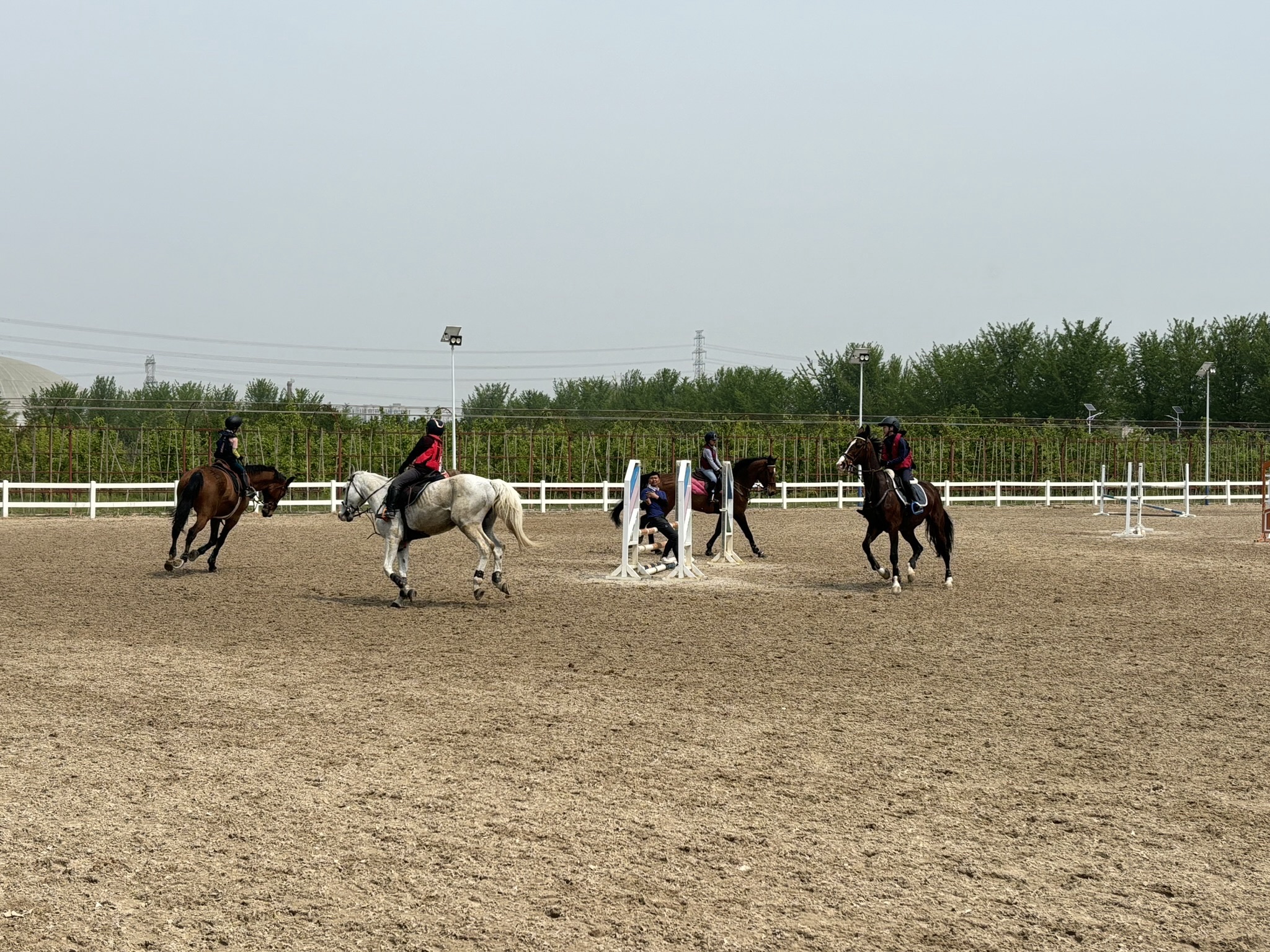 场地封面-中联骑士联盟马术俱乐部(良乡马场)
