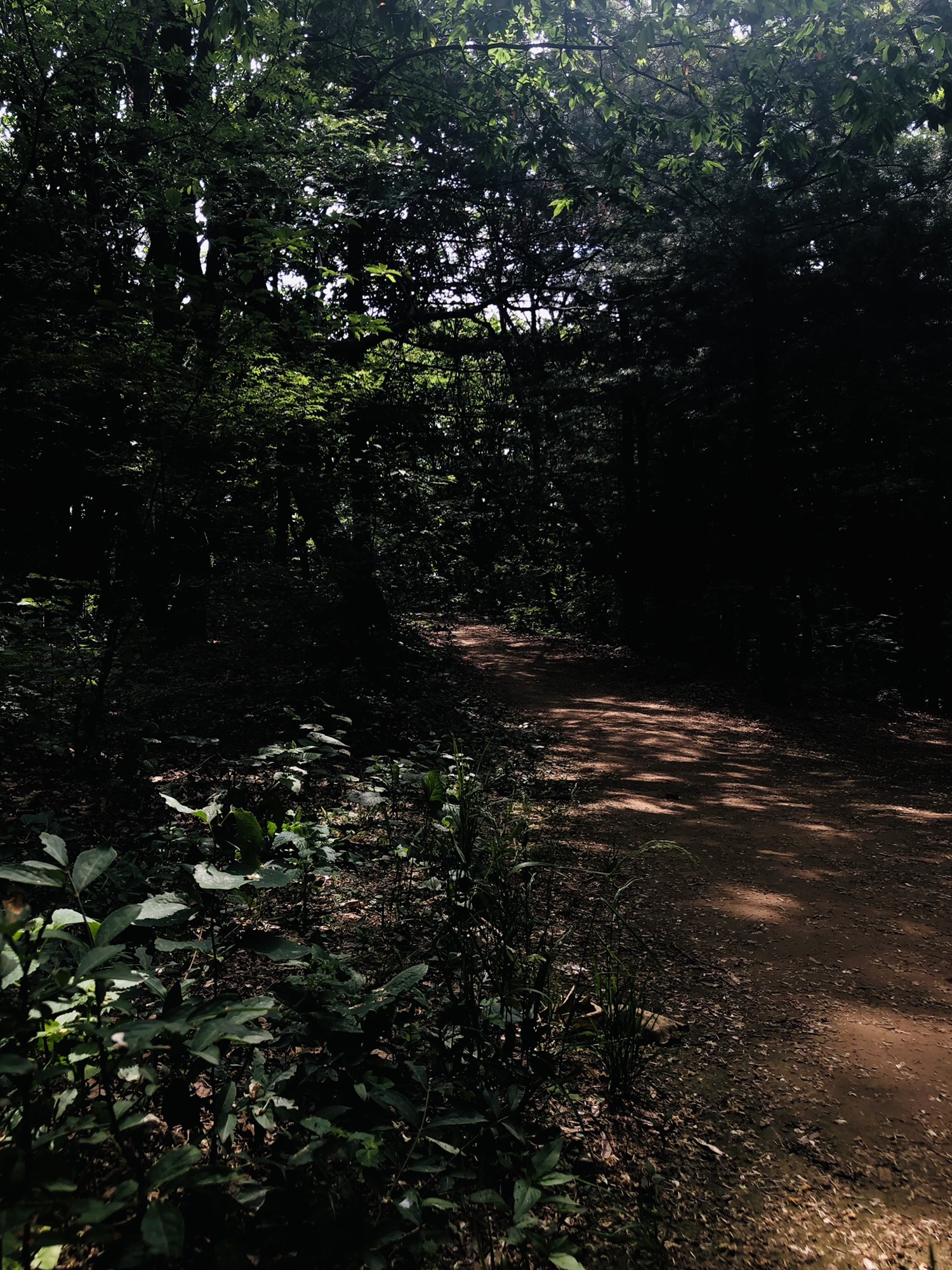 江山公园(建设中)旅行图片 3
