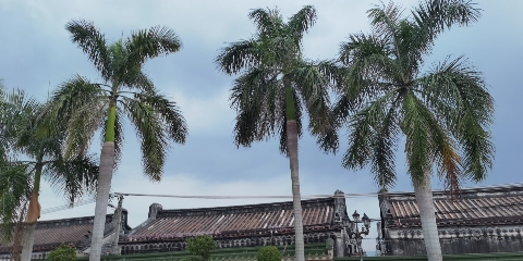 英大埔李厝恒德堂