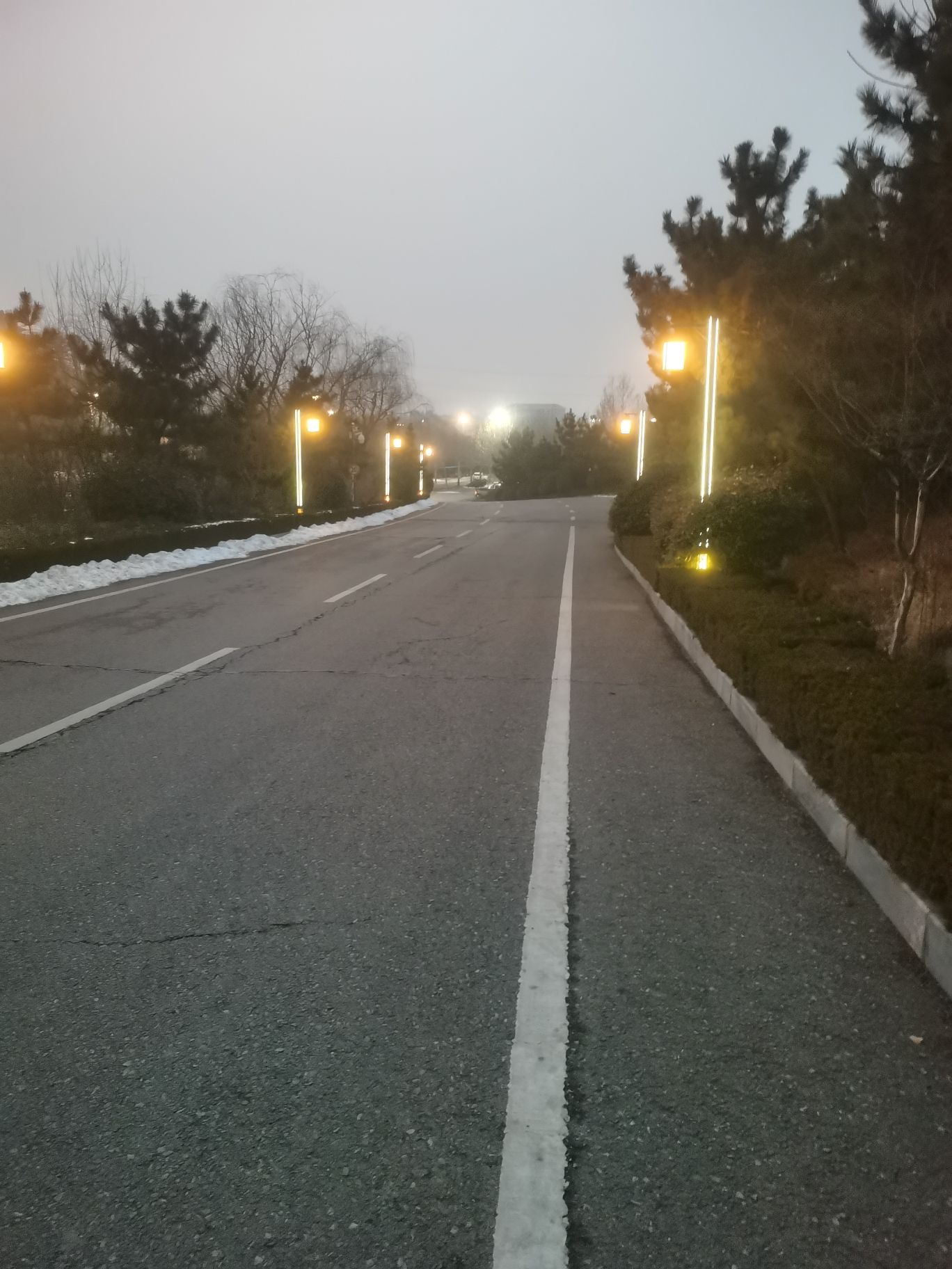 徂徕山森林温泉康养中心旅行图片 2