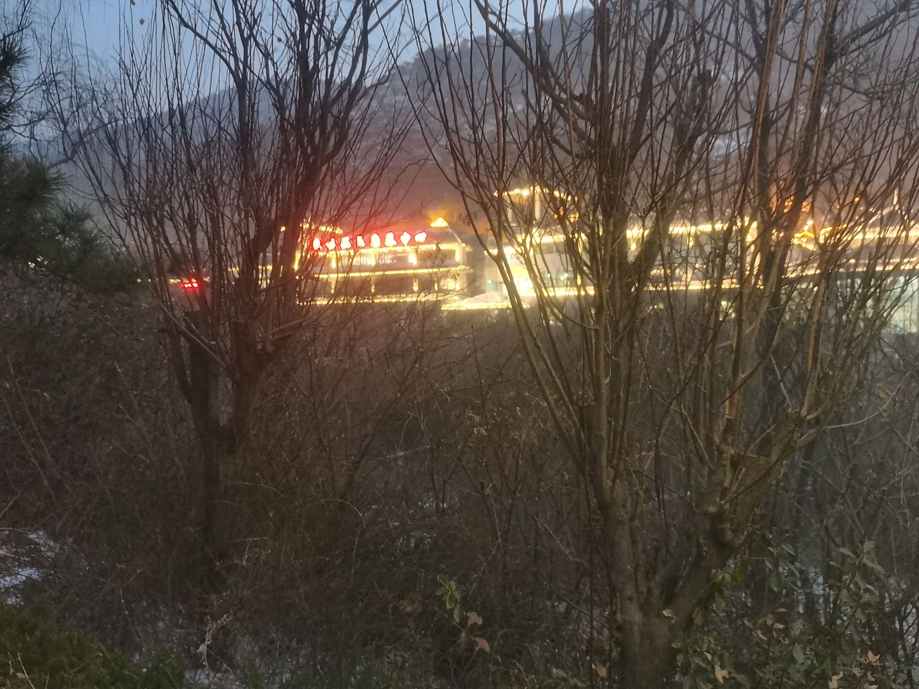 徂徕山森林温泉康养中心旅行图片 1
