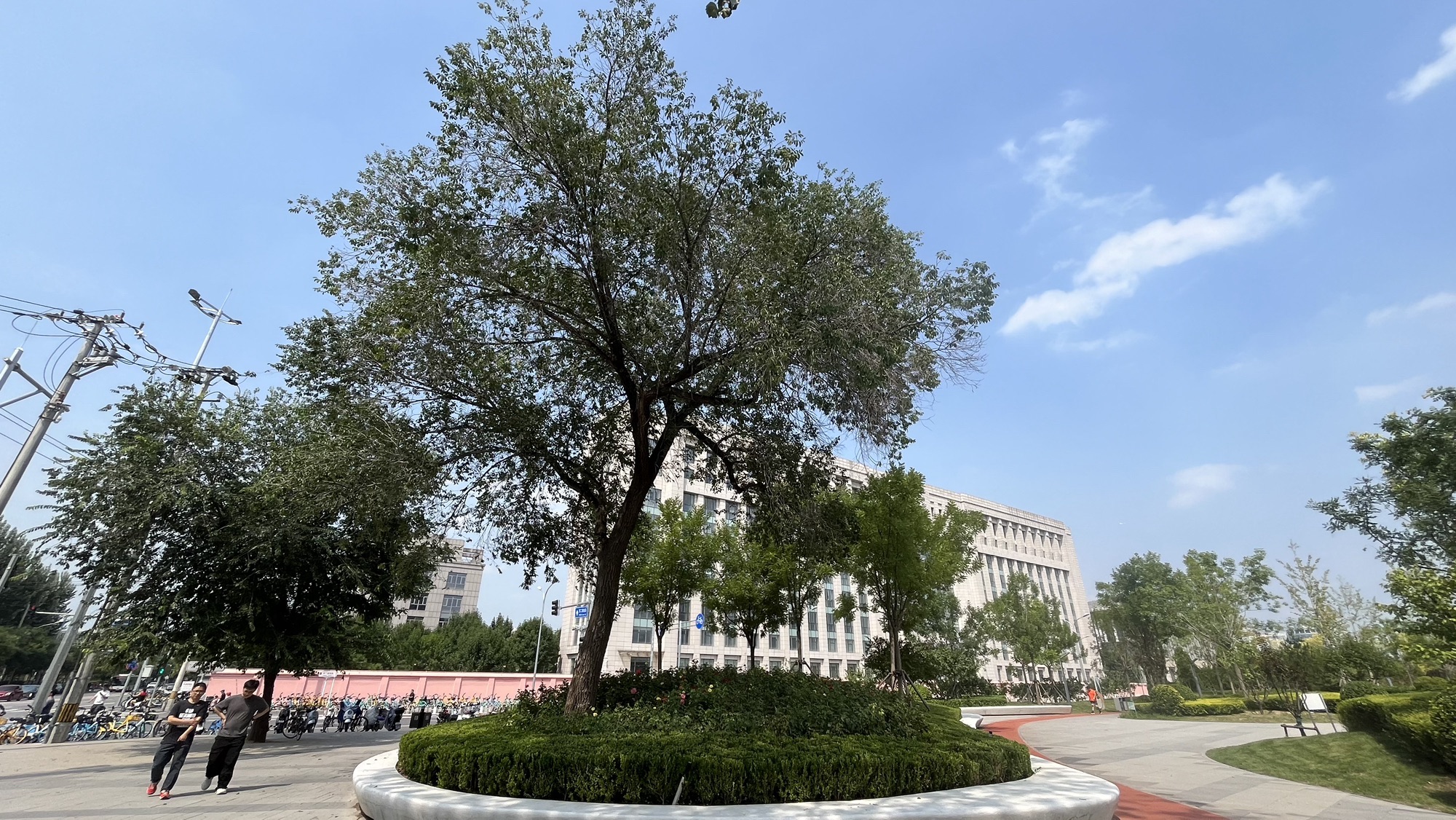 安宁庄公园旅行图片 3