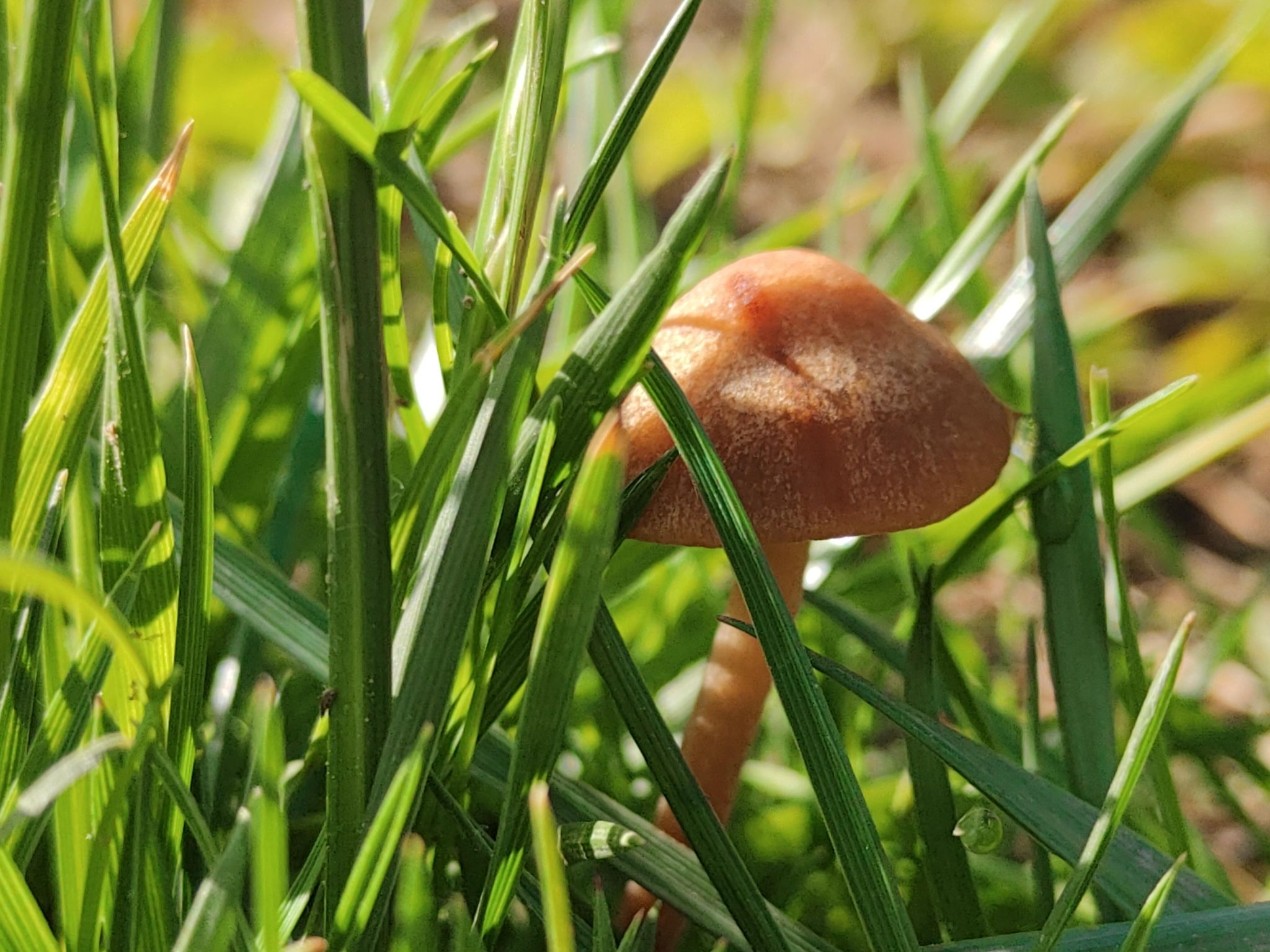 安宁庄公园旅行图片 2
