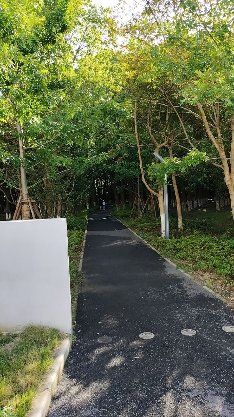 泗沙林地公园旅行图片 2