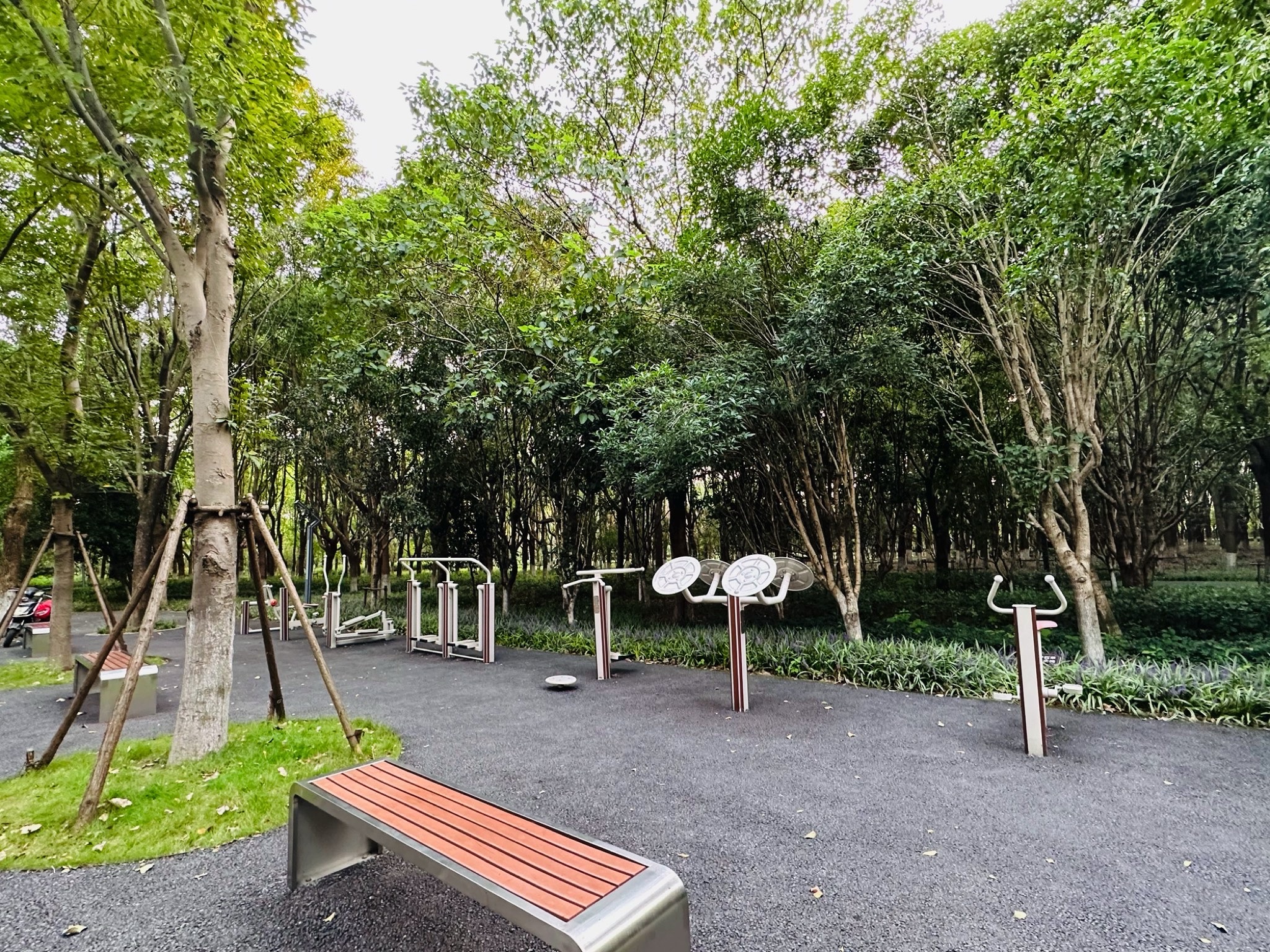 泗沙林地公园旅行图片 2